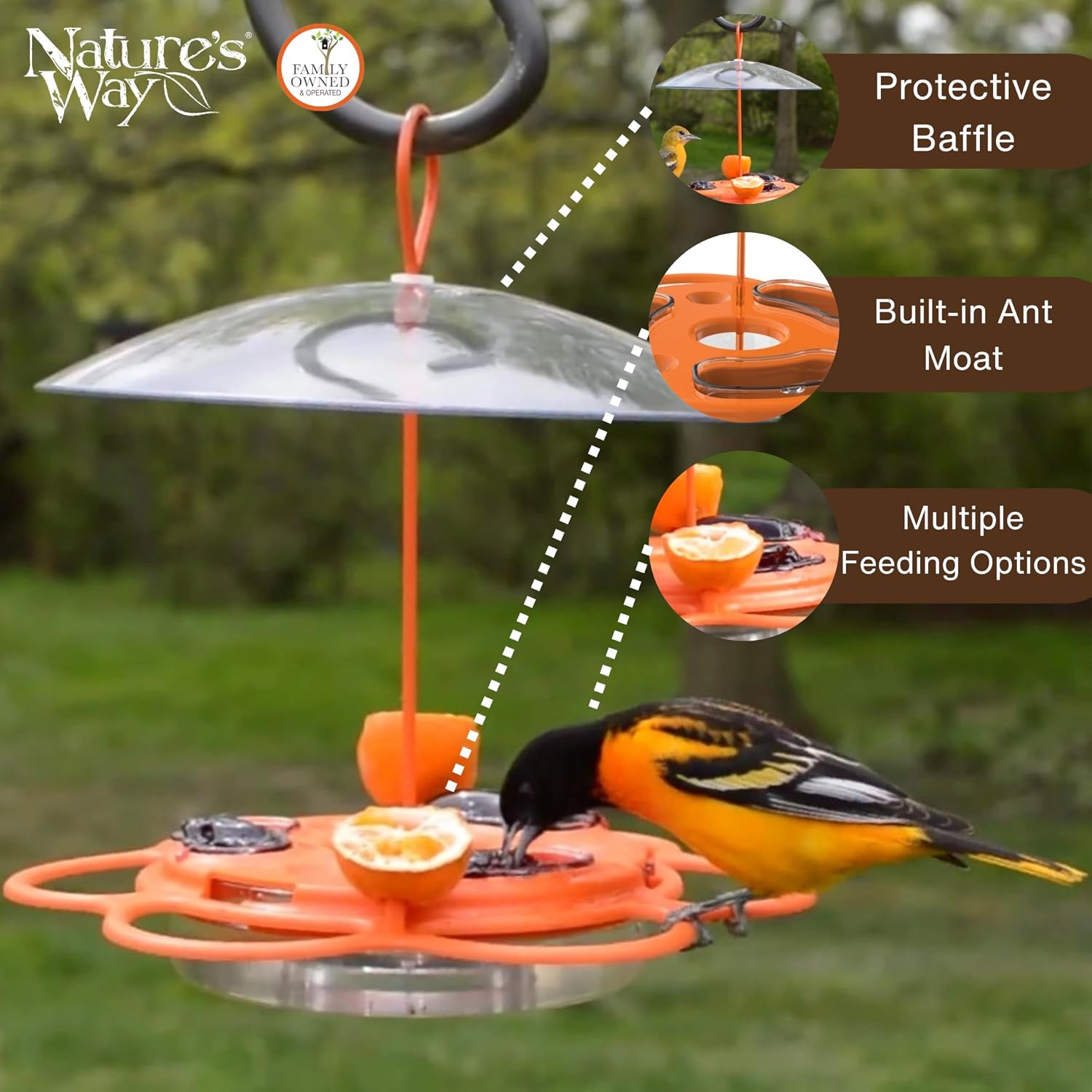 Nature's Way OFM1 Wire Oriole Feeder