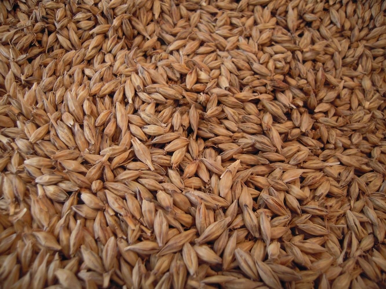 Premium Grains for REAL Whiskey Bourbon Shine - All Grain & Premium Yeast Blend is included!