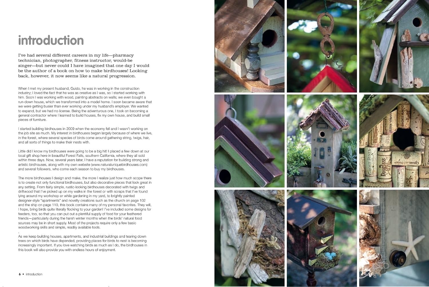Handmade Birdhouses and Feeders: 35 projects to attract birds into your garden