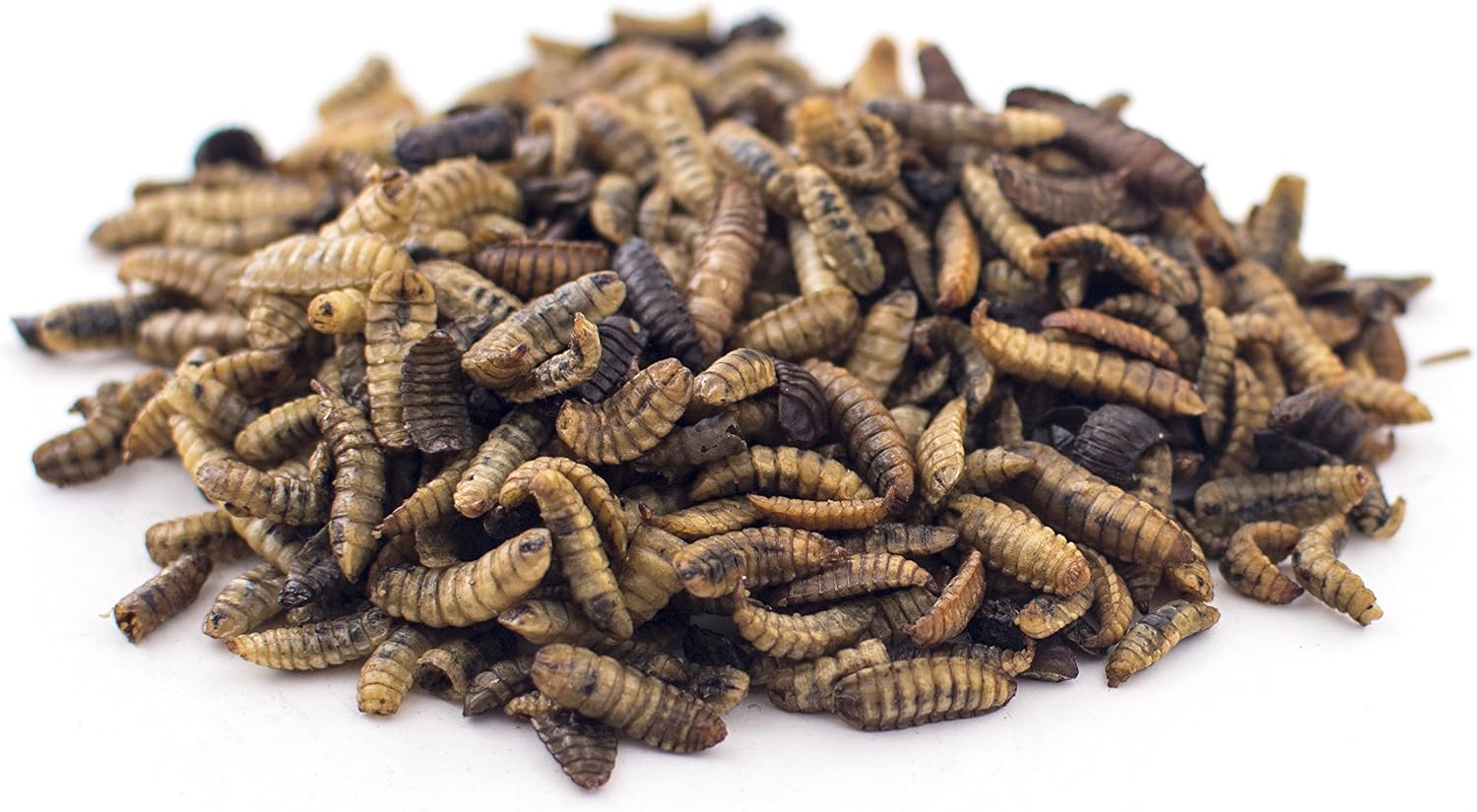 Fluker's Culinary Coop Premium Chicken Treats, Dried Soldier Worms, Packed with Protein and Calcium, 100% Natural Rich Grubs for Chicken, Backyard Birds, and Reptiles, 16 oz