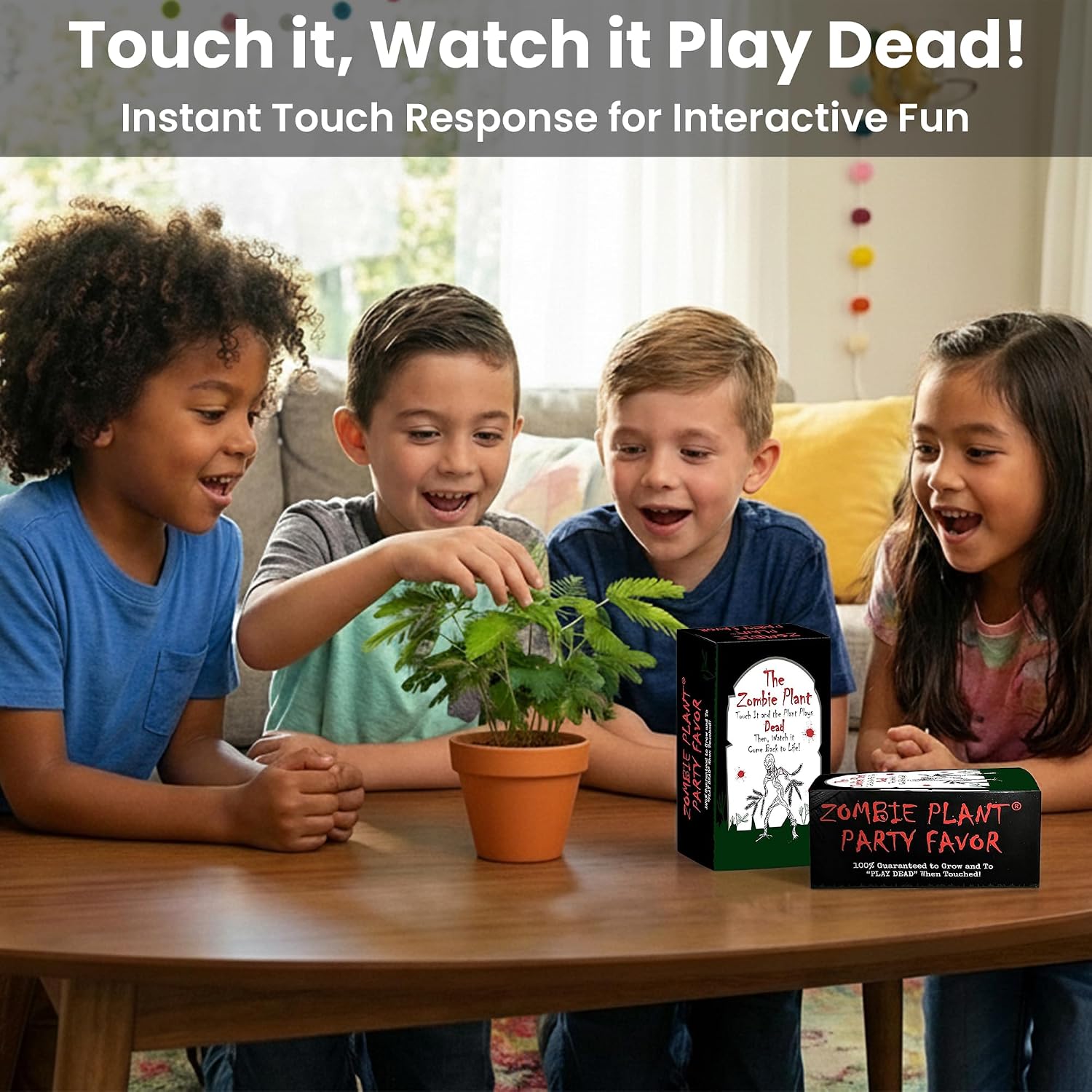 Zombie Plant Seed Packets – Grow a Live Sensitive Plant that Plays Dead When Touched! Indoor Plant Seeds & Educational STEM Activity | House Plant Seeds | Unique Garden Seeds – 2 Pack