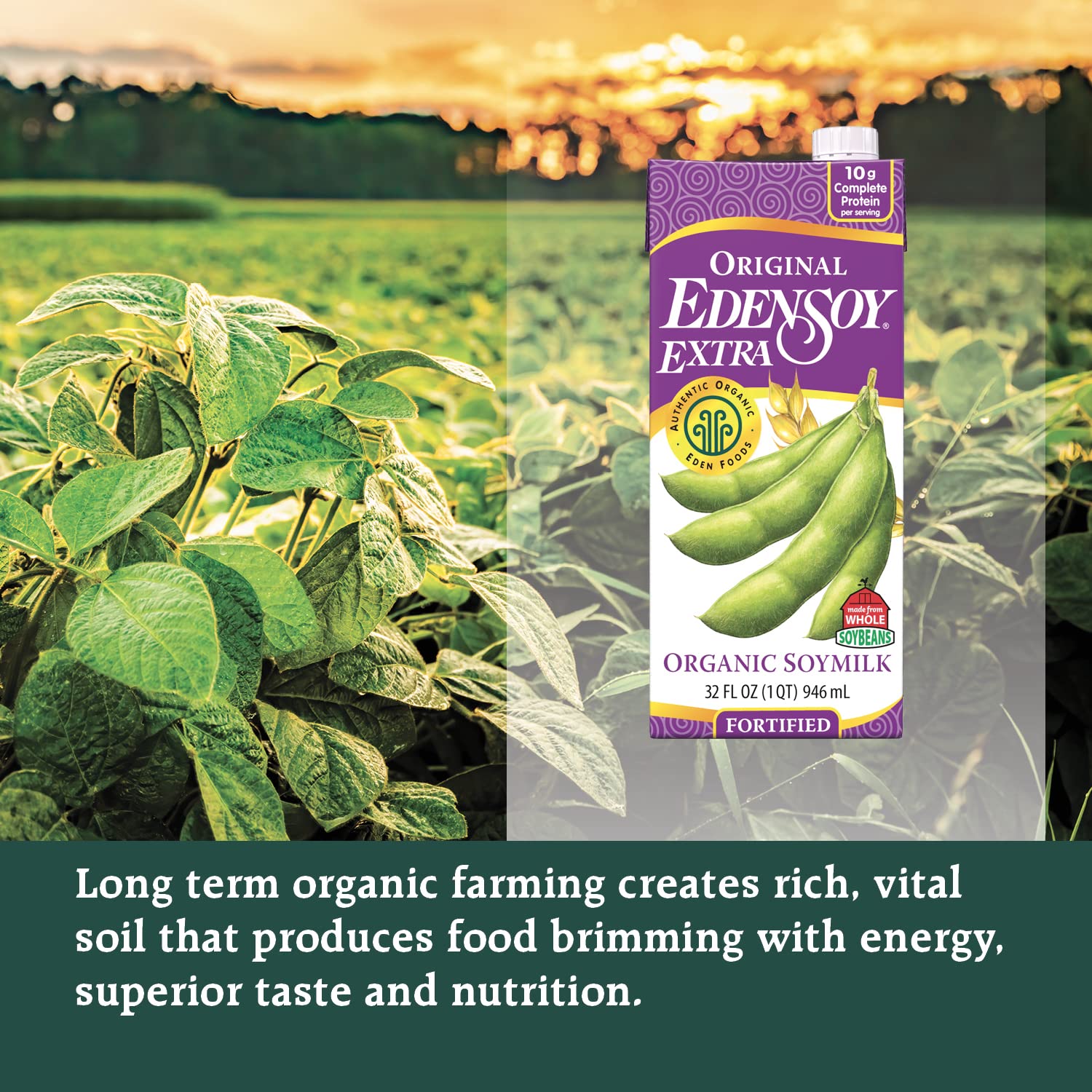Eden Organic Original Edensoy Soymilk Extra, 32 oz (Pack of 6)