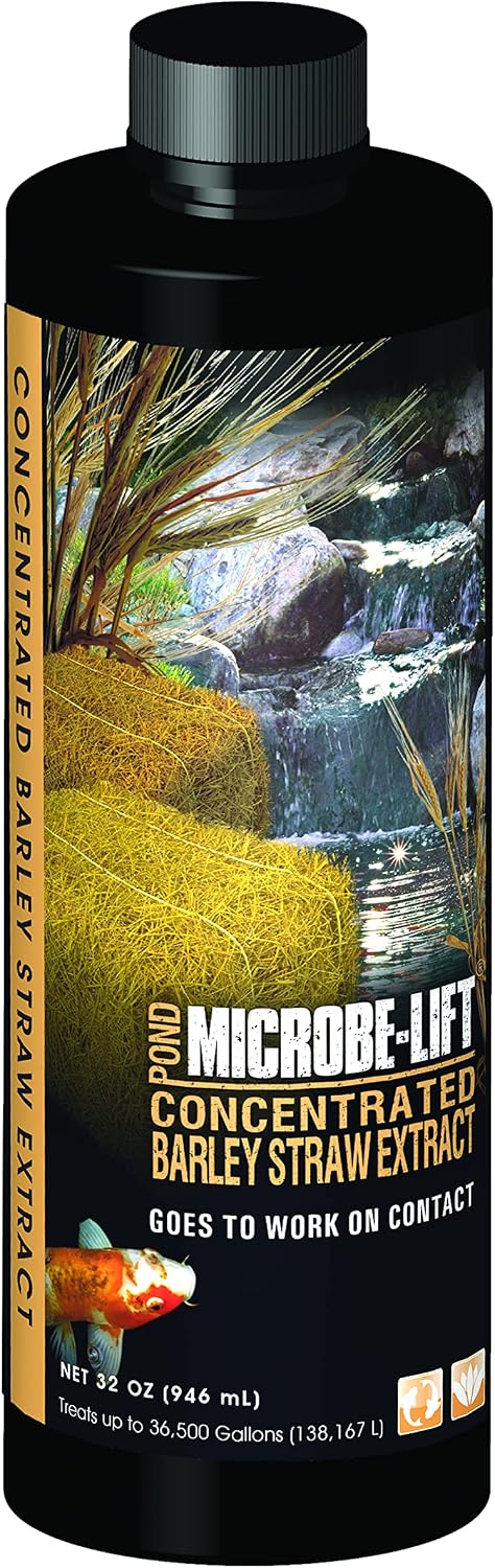 Microbe-Lift Concentrated Barley Straw Extract Conditioner for Ponds – 1 Gallon – Safe for Koi Fish, Plants & Decorations – Natural Pond Conditioner, Cost-Efficient & Organic Solution