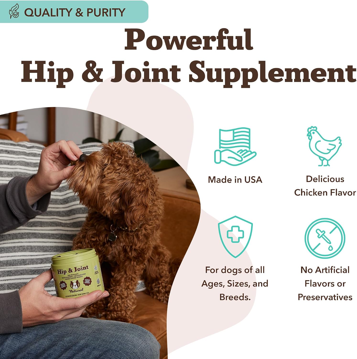 Natural Dog Company Liquid Glucosamine Hip & Joint Oil for Dogs, 16 oz, Extra Strength Cartilage & Joint Support, Helps Mobility and Eases Occasional Stiffness, Dog Vitamins & Supplements