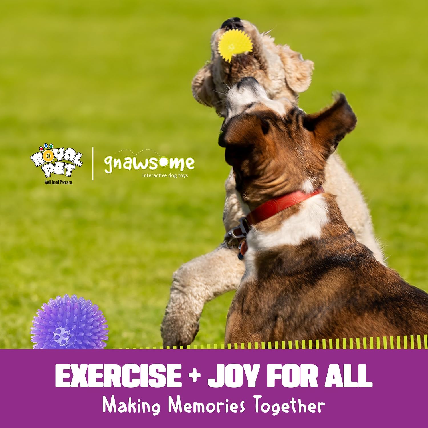 Gnawsome™ 3.5” Spiky Squeak & Light Ball Dog Toy - Medium, Cleans Teeth and Promotes Good Dental and Gum Health for Your Pet, Colors will vary