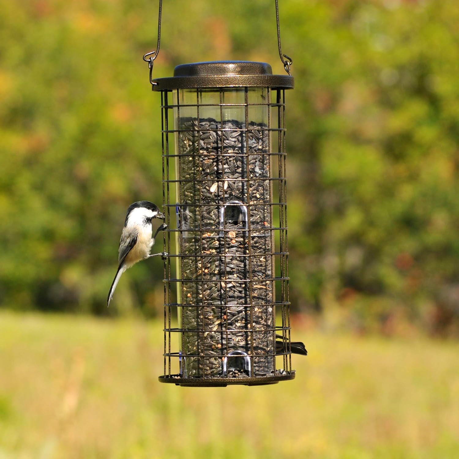 Perky-Pet 114 Squirrel Stumper Wild Bird Feeder