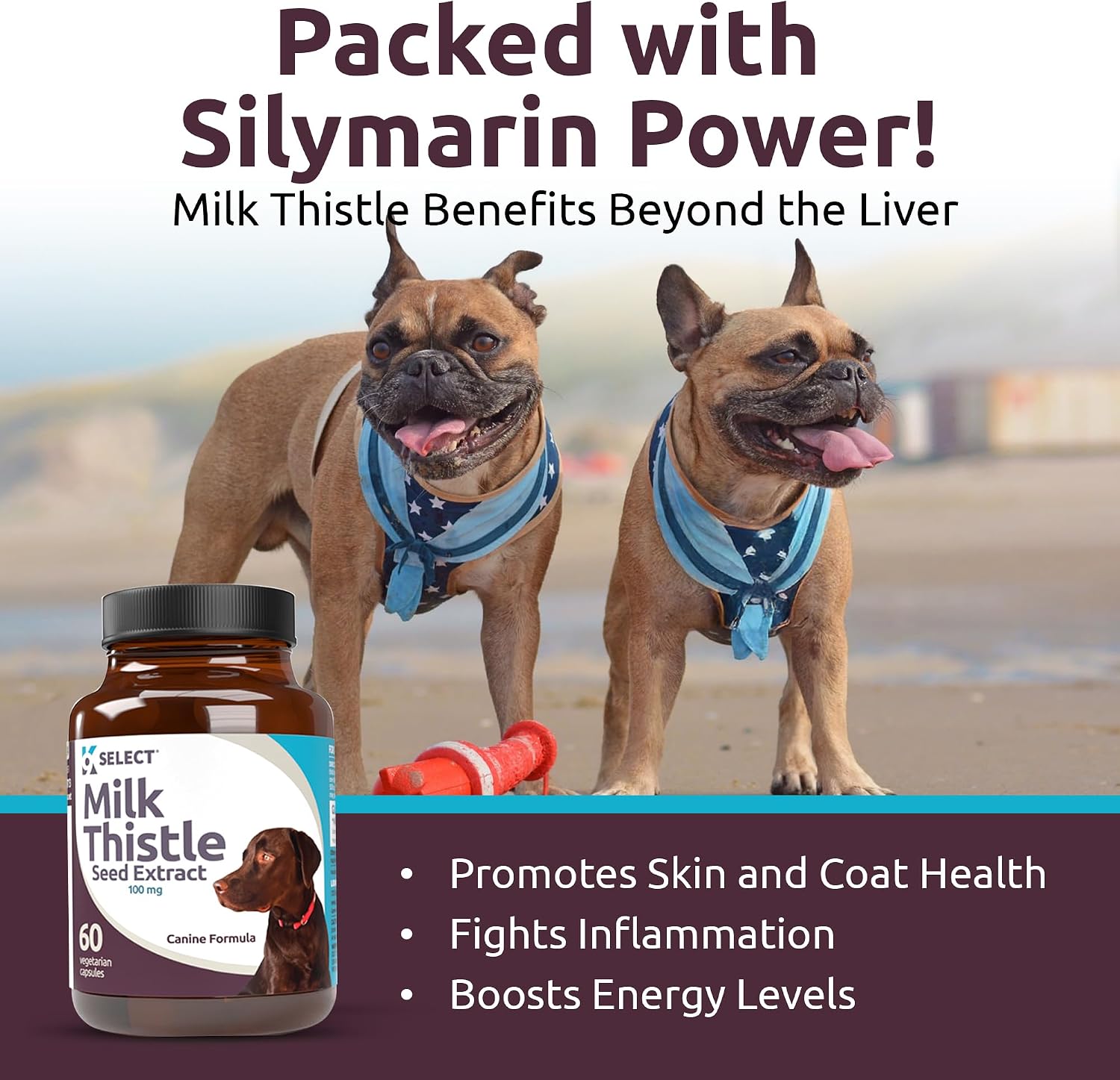 Milk Thistle for Dogs, 100mg - 60 Vegetable Capsules - Canine Liver Health Milk Thistle Supplement - Milk Herbal