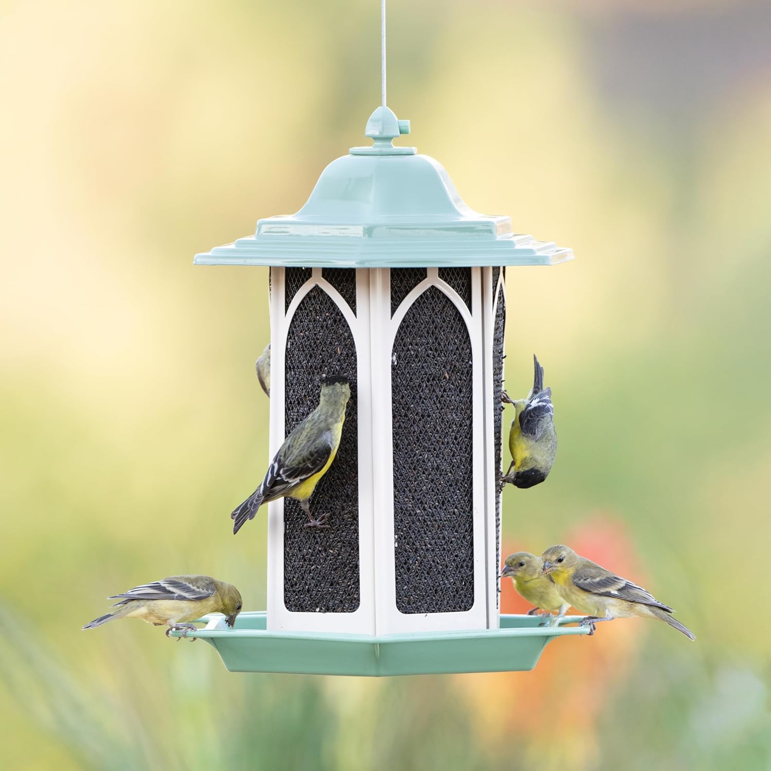Perky-Pet GAZ01 Pistachio Gazebo Bird Feeder - Metal Bird Feeders for Outside - Outdoor Garden Décor