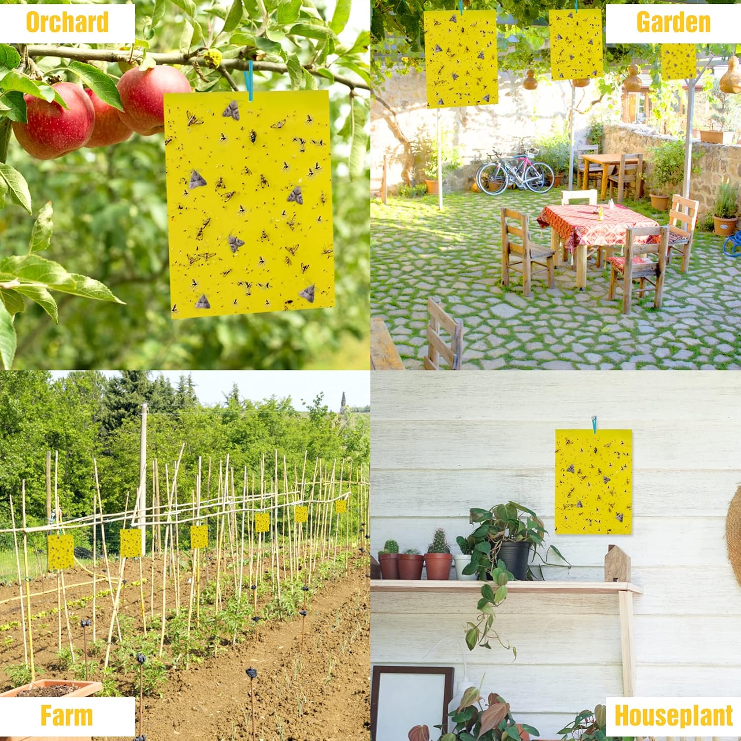 40 Pack Fungus Gnat Traps, Yellow Sticky Fruit Fly Traps for Indoor Plants