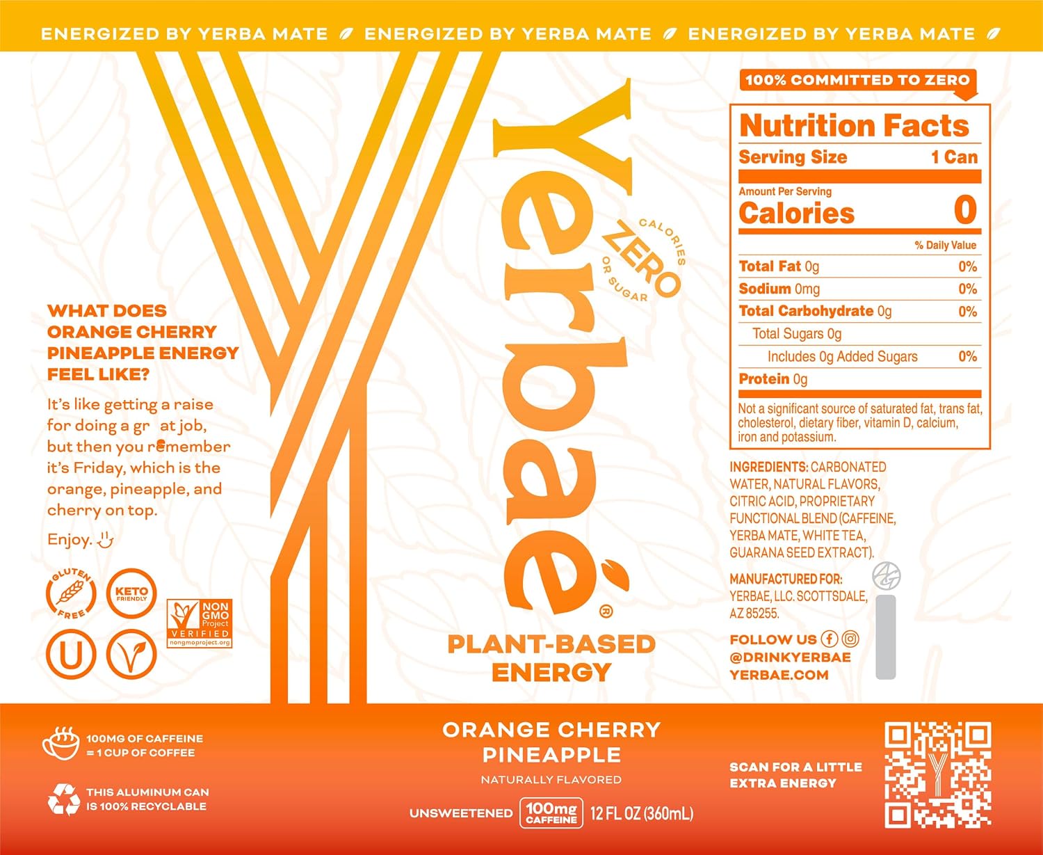 Yerbaé Energy Seltzer - Variety Performance Pack. No Sugar/Calories/Carbs. Energized by Yerba Mate Naturally Caffeinated Plant-Based, Healthy Alternative to Coffee/Sugary Sodas, Pack of 12, 12oz cans