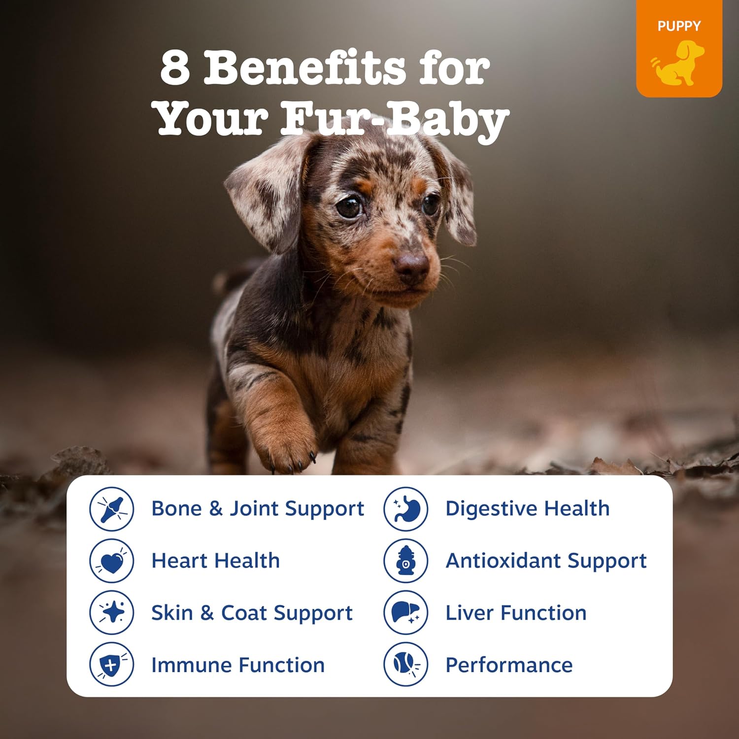 Zesty Paws Dog Multivitamin, Chewable Dog Vitamins and Supplements for Hip & Joints, Skin & Coat, Omega 3 Fish Oil for Dogs- Senior & Puppy Multivitamin- Chicken- 90ct