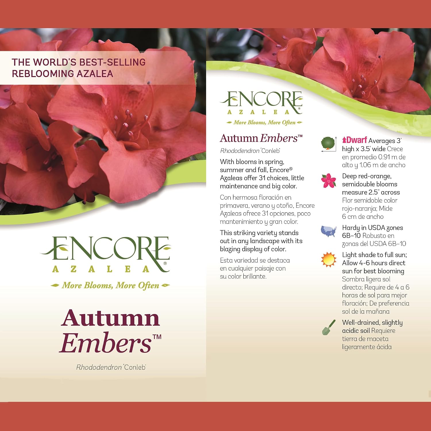 Encore Azalea Embers Azalea, 2 Gal, Red
