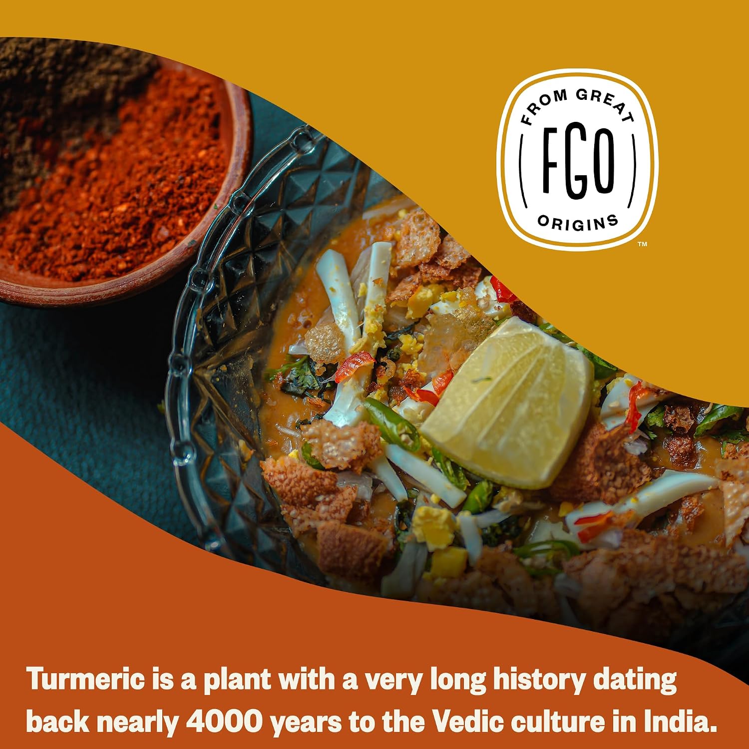 FGO Organic Turmeric Powder w/Curcumin, 8oz Resealable Pouch, USDA Organic and Non-GMO, Sourced from India, Packaging May Vary (Pack of 1)