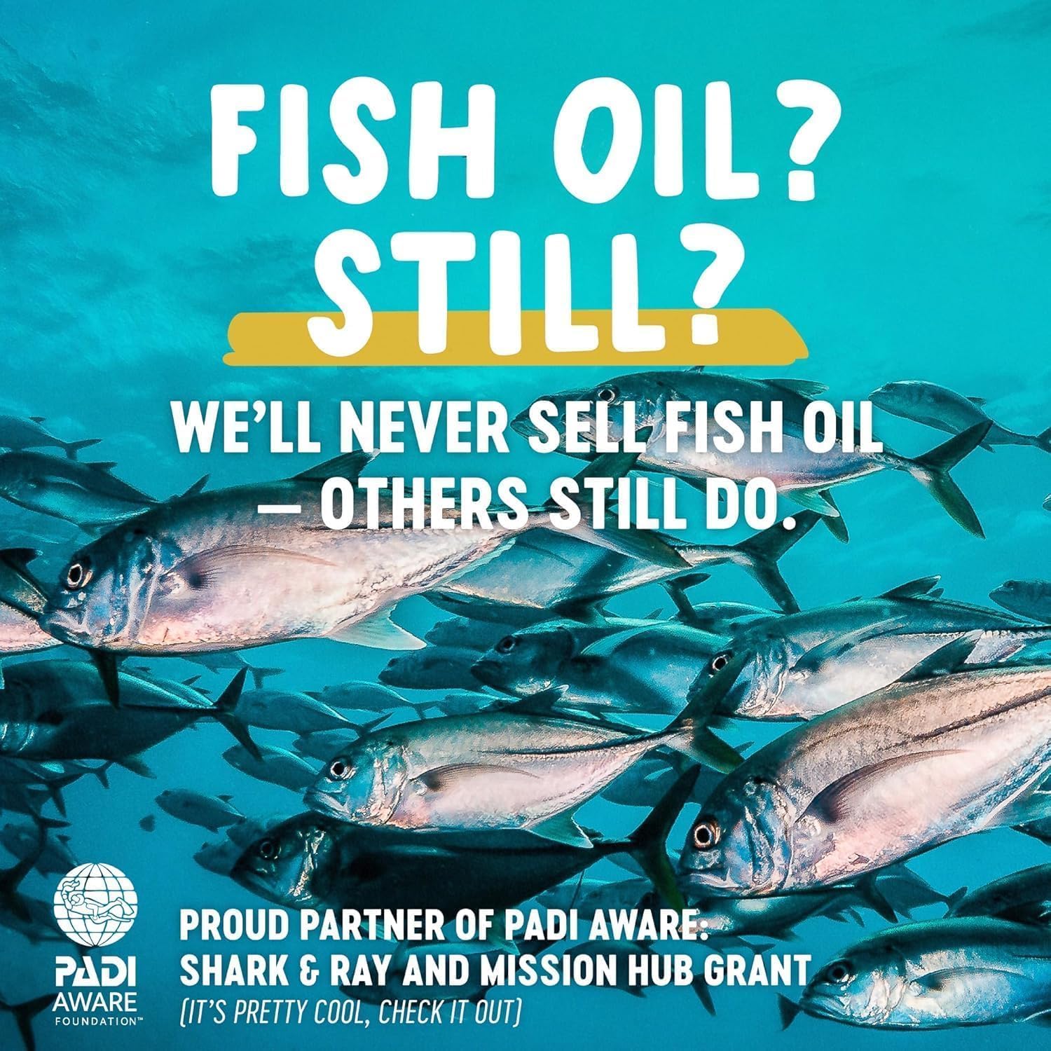 Freshfield Vegan Omega 3, Algae (Algal) Oil, Fish Oil Free Company, Third Party Tested, Carrageenan Free, DHA Supplement w/DPA, Plant Based Omega. Supports Heart, Brain, Joint Health. Lemon Scent