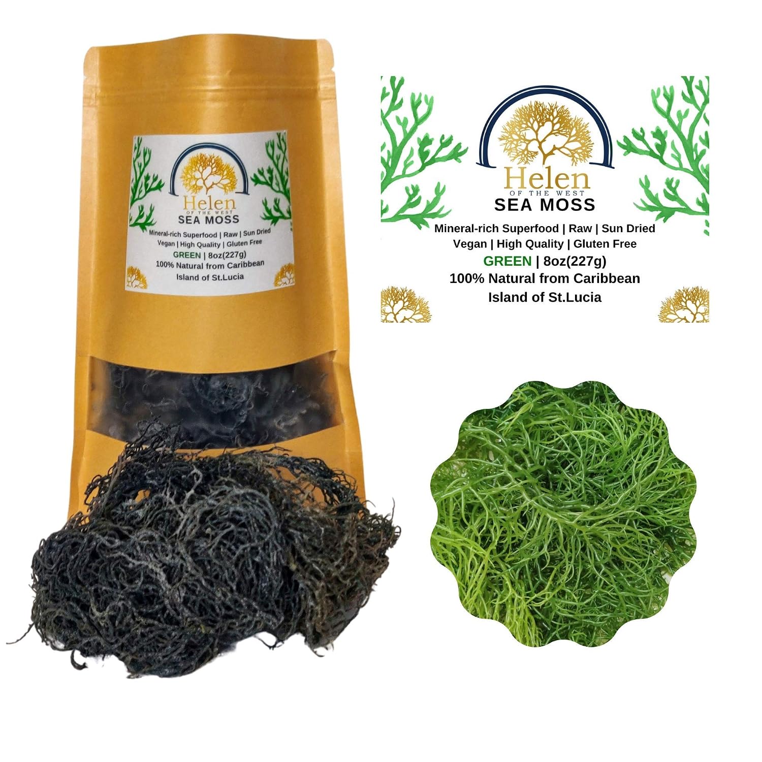 Wildcrafted Sea Moss | Gold - Purple - Green - Mixed | 100% Natural Irish Moss from St.Lucia | Mineral-Rich Superfood | 8oz Sun-Dried Moss | NO
