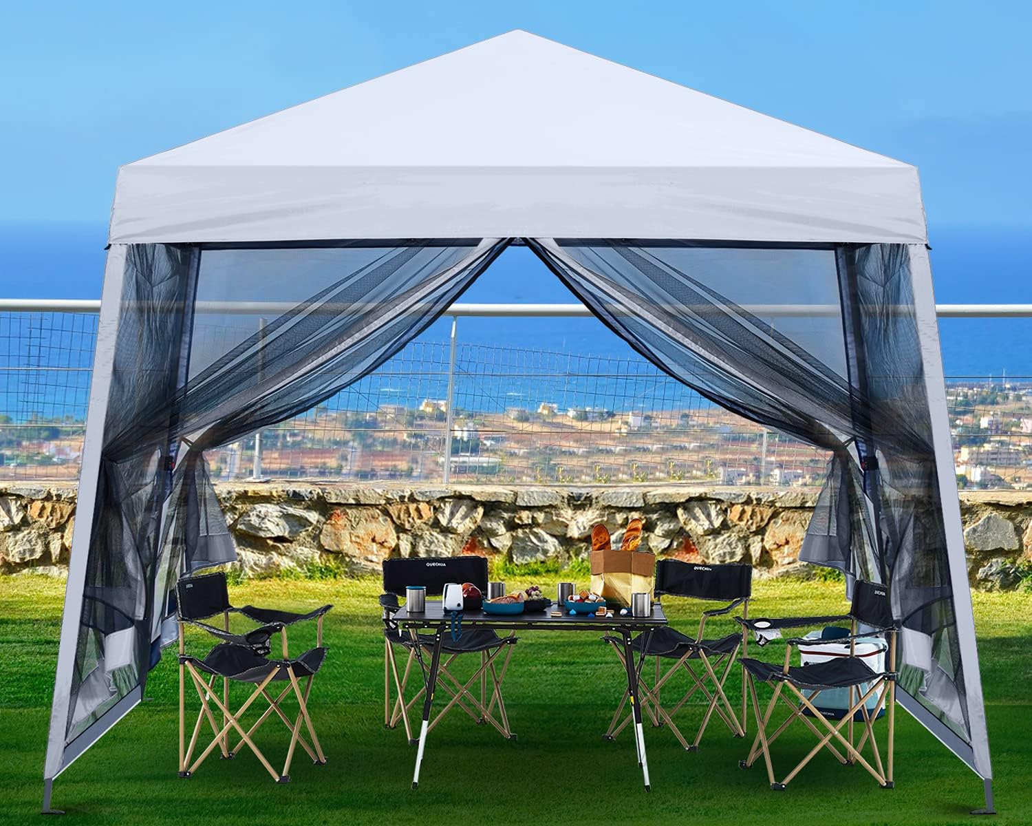 ABCCANOPY 10x10 Pop Up Canopy Tent, Slant Leg Outdoor Shade, Dark Gray