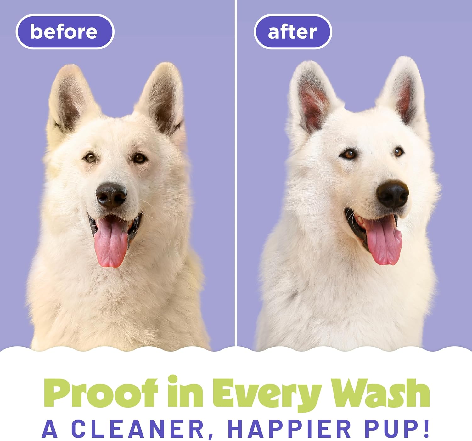 TropiClean Deodorizing Dog Shampoo, Berry & Coconut Scent, 2.5 Gallon