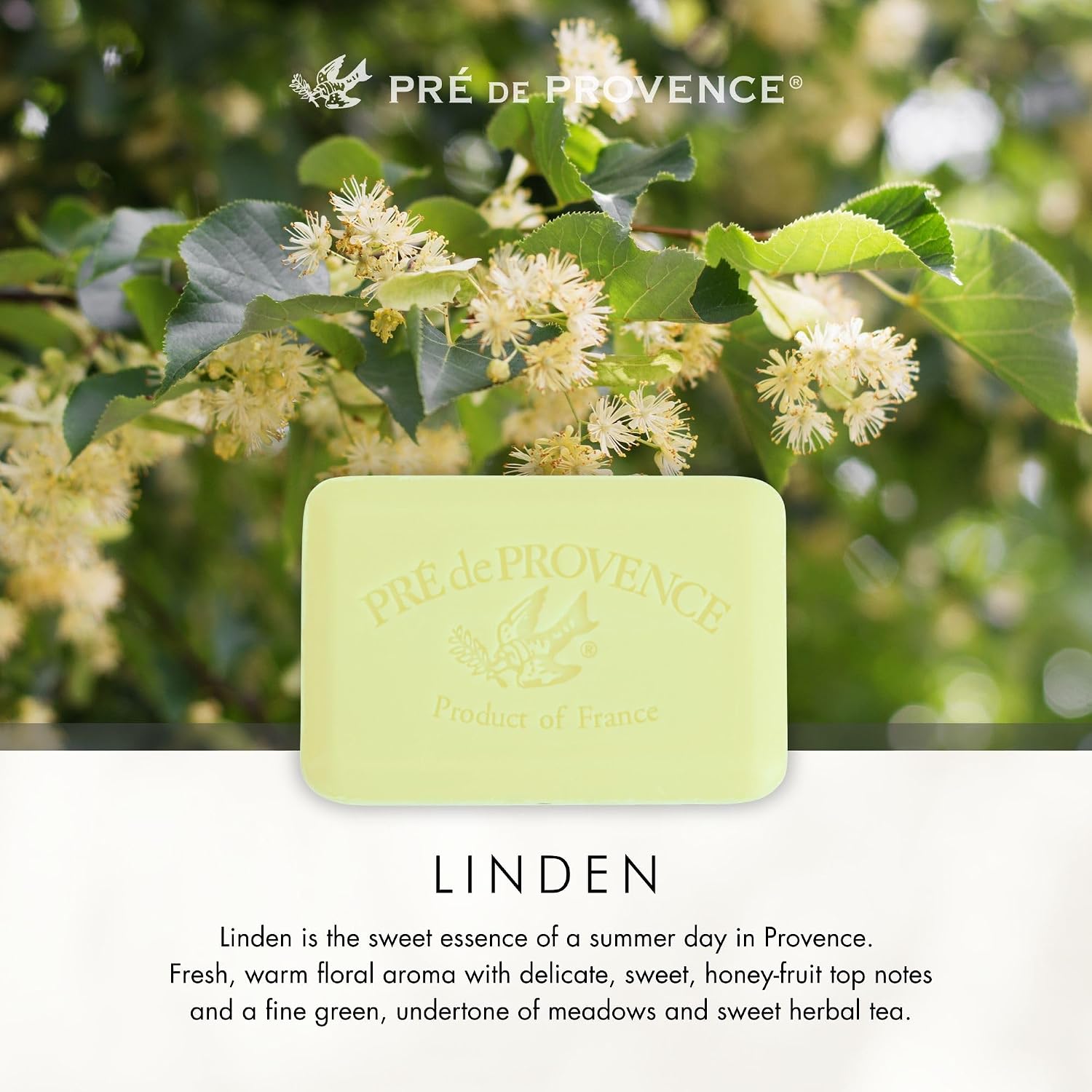 Pre de Provence Artisanal Soap Bar, Natural French Skincare, Enriched with Organic Shea Butter, Quad Milled for Rich, Smooth & Moisturizing Lather, Linden, 5.3 Ounce