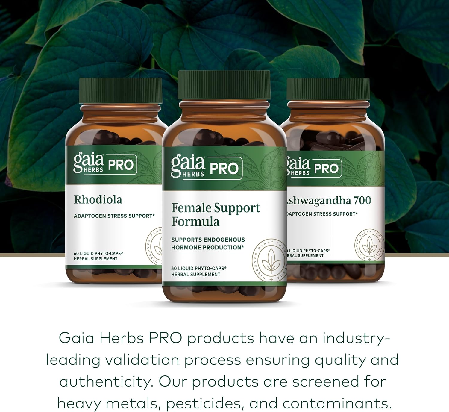 GAIA HERBS PRO Female Support Formula - Supports Healthy PMS & Menopause Fluctuations with Alfalfa Leaf, Black Cohosh Root Extract