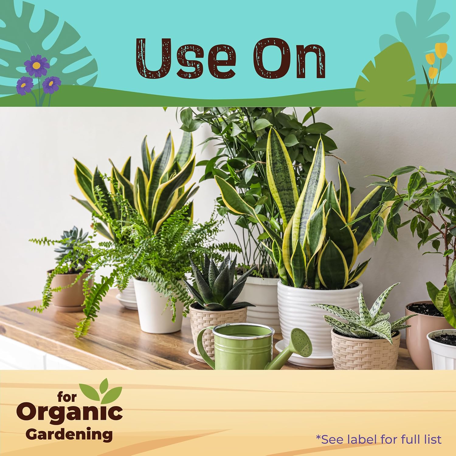 Bonide Houseplant Liquid Plant Food 10-10-10, 8 oz Concentrated Fertilizer for Indoors, Use Every Time You Water | Concentrated Fertilizer for Indoors