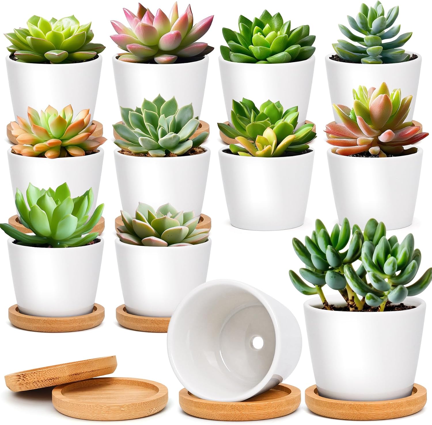 T4U Small White Succulent Planter Pots with Bamboo Tray Hexagon Set of 2, Geometric Ceramic Cactus Plant Holder, Succulent Plant Gifts for Gardener Women Coworker, Home Office Table Desk Decoration | Live cactus bonsai starter, Indoor windowsill decor, O…