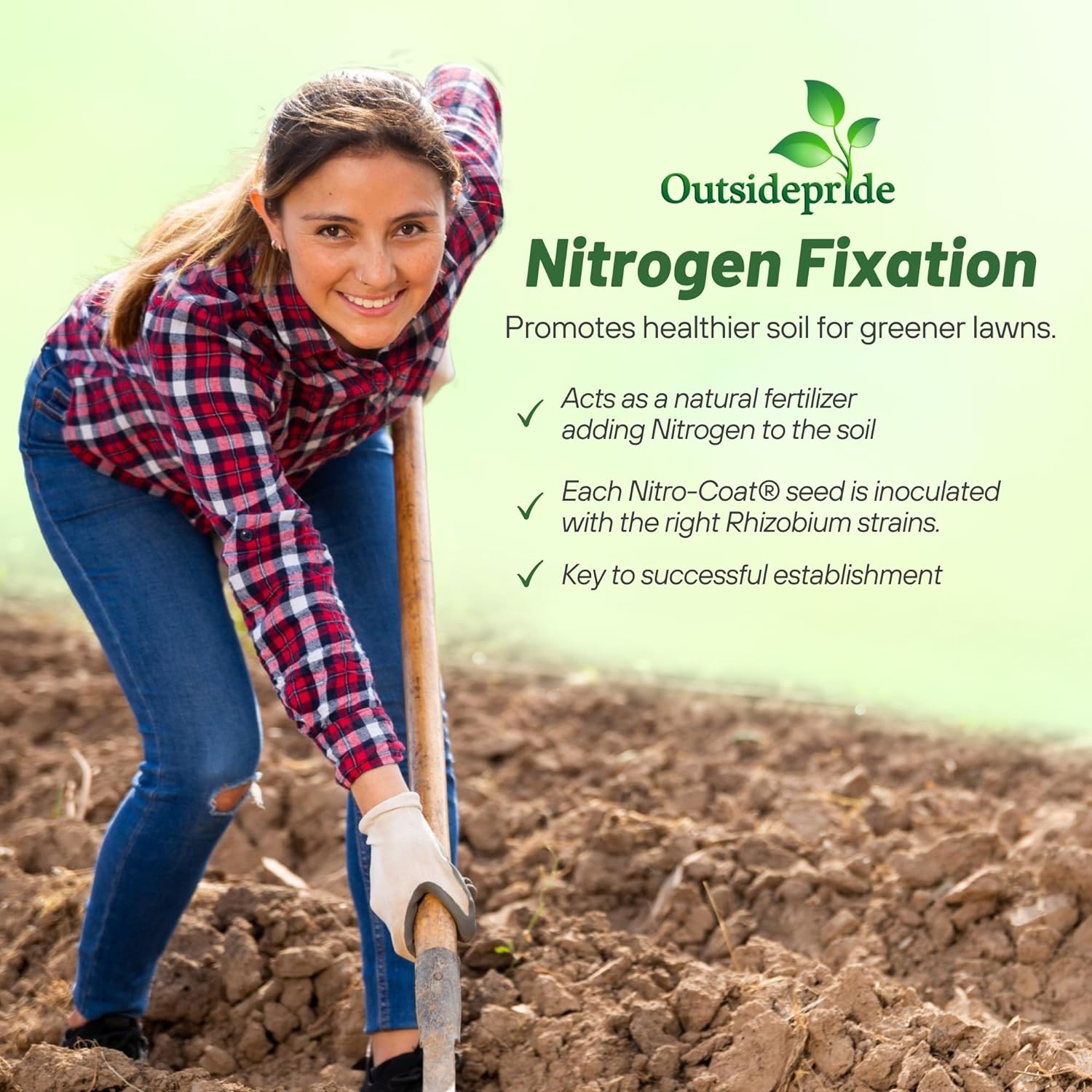 Outsidepride Perennial White Dutch Clover Seed - 5 lbs. Nitrocoated, Inoculated for Lawn Alternative, Erosion Control, Food Plots, Ground Cover, & Pasture Mixtures in USDA Zones 3-10