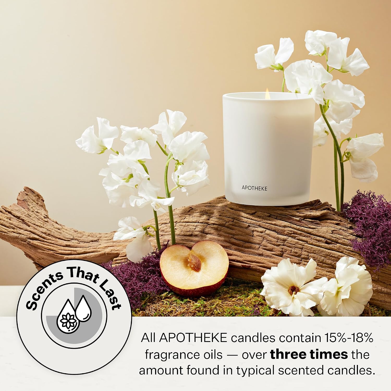 Apotheke Signature Scented Candles for Home, Canvas - 10.5 Oz | Long-Lasting Non-Toxic Soy Wax Jar Candle with Essential Oils, Large - Luxury Gift for Women & Men