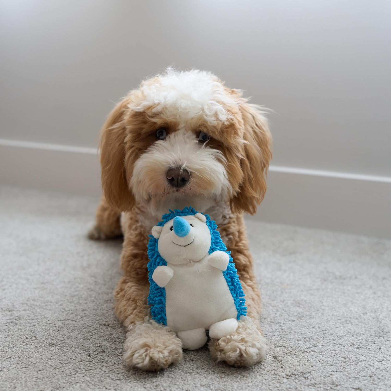 SPOT Gigglers Hedgehog Dog Toy with Giggle Sound | Textured, Plush Shake and Wiggle Hedgehog Giggle Toy for Small and Medium Dog Breeds