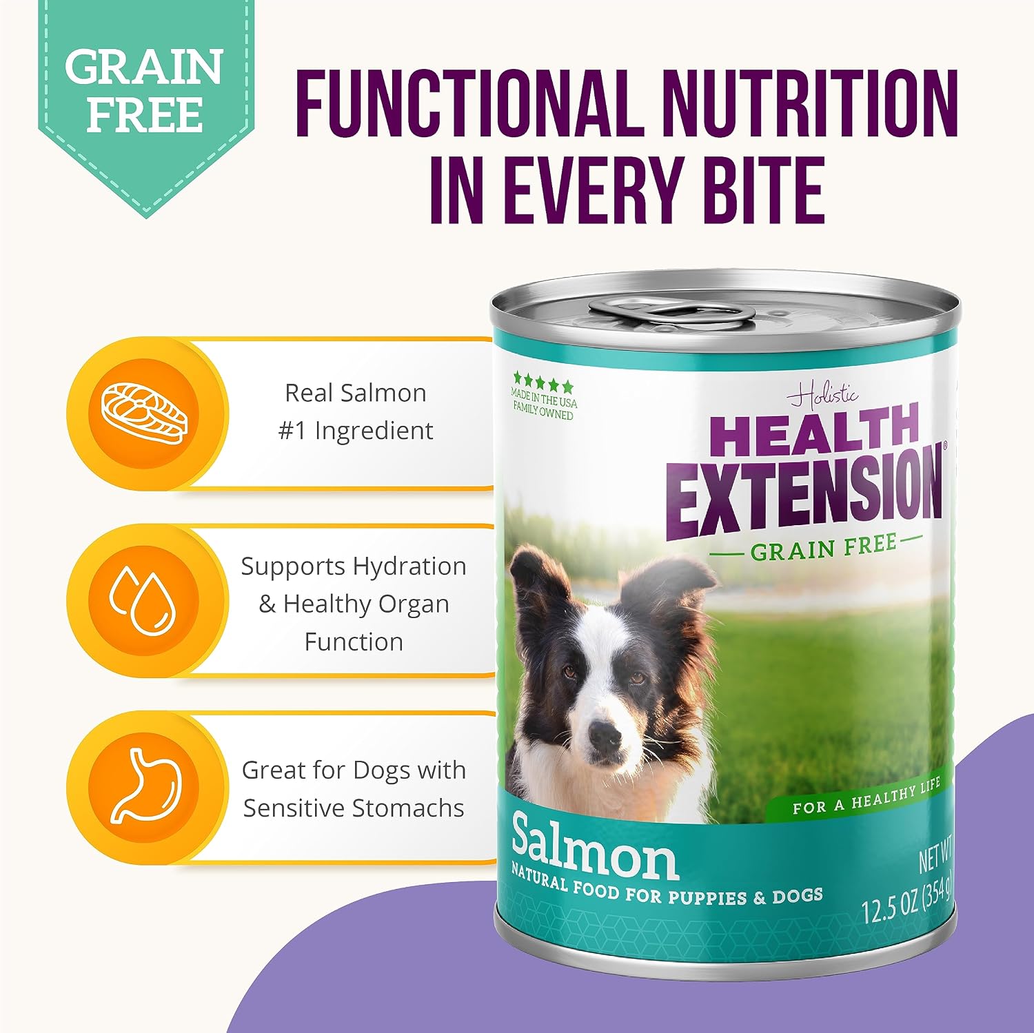 Health Extension 95% Beef Grain-Free Wet Dog Food, High Protein Recipe, Limited Ingredients, Picky Eaters, Ideal for Sensitive Stomachs 5.5 oz (Case of 24)