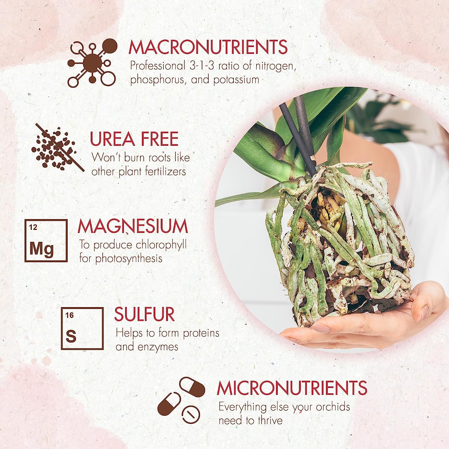 Orchid Plant Food (5 oz