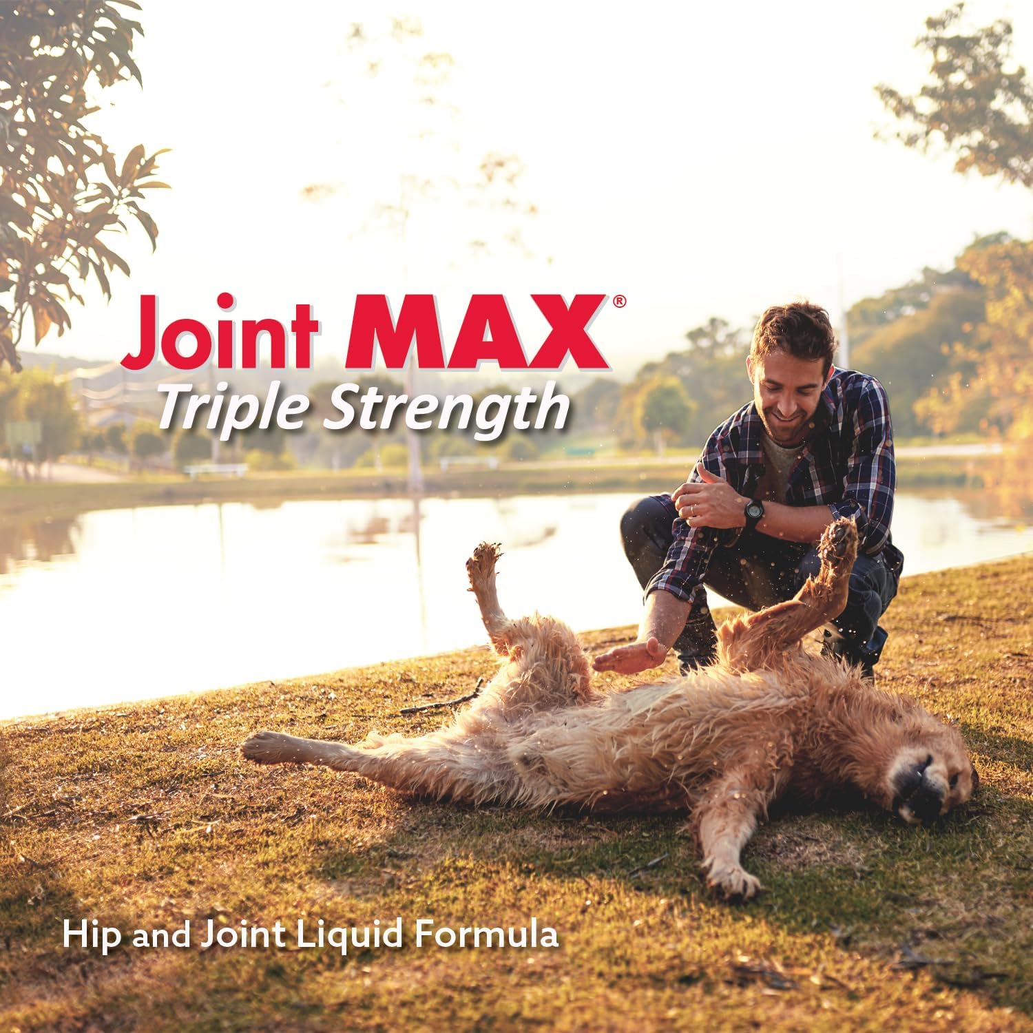 TS Joint Supplement Vet Formulated Pain & Inflammation Relief Treats Hip Dysplasia & Arthritis.Glucosamine, Chondroitin, Turmeric, MSM, HA, Creatine, Omega 3 EPA+DHA. All Dogs 240 Soft Chews