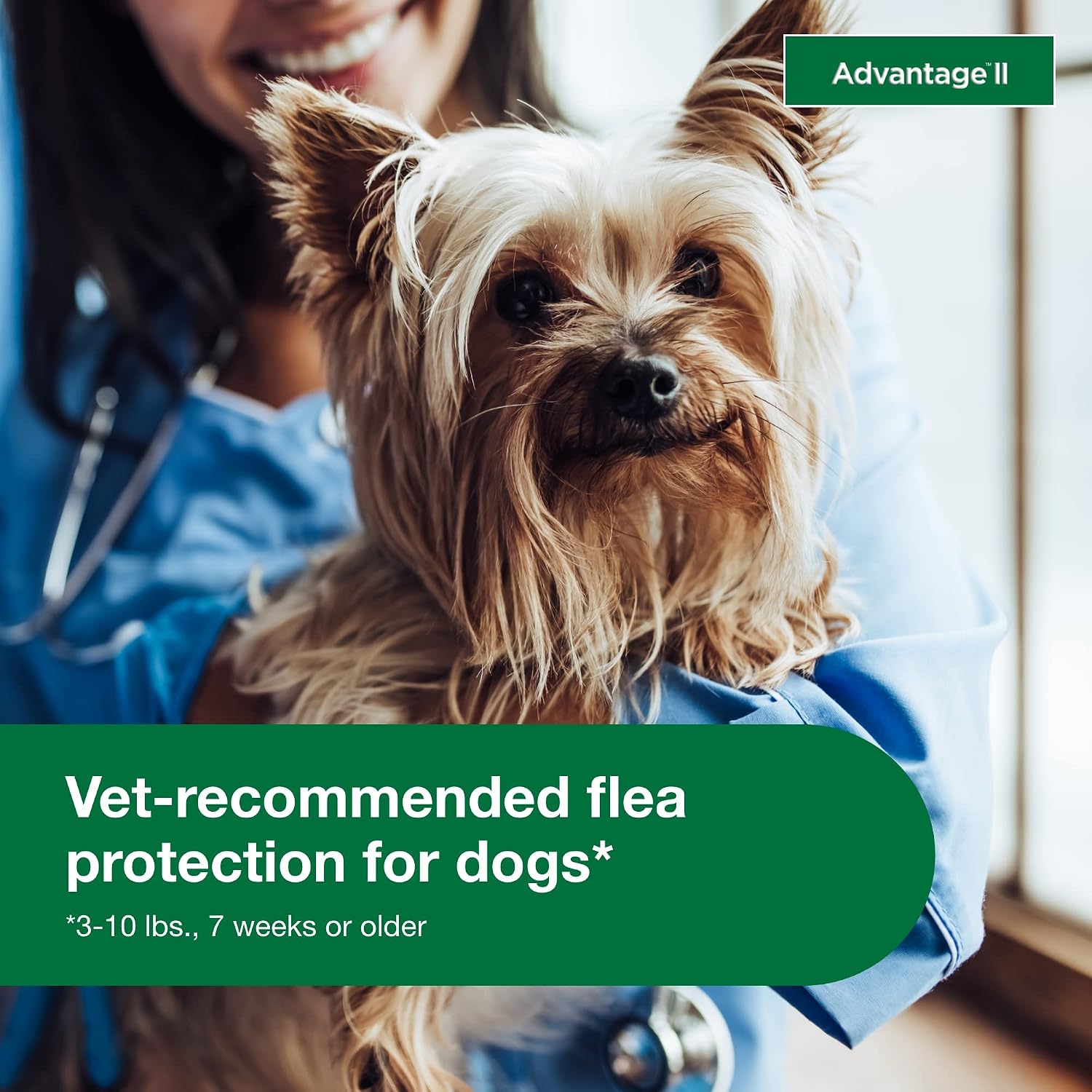 Advantage II Large Dog Vet-Recommended Flea Treatment & Prevention | Dogs 21-55 lbs. | 4-Month Supply