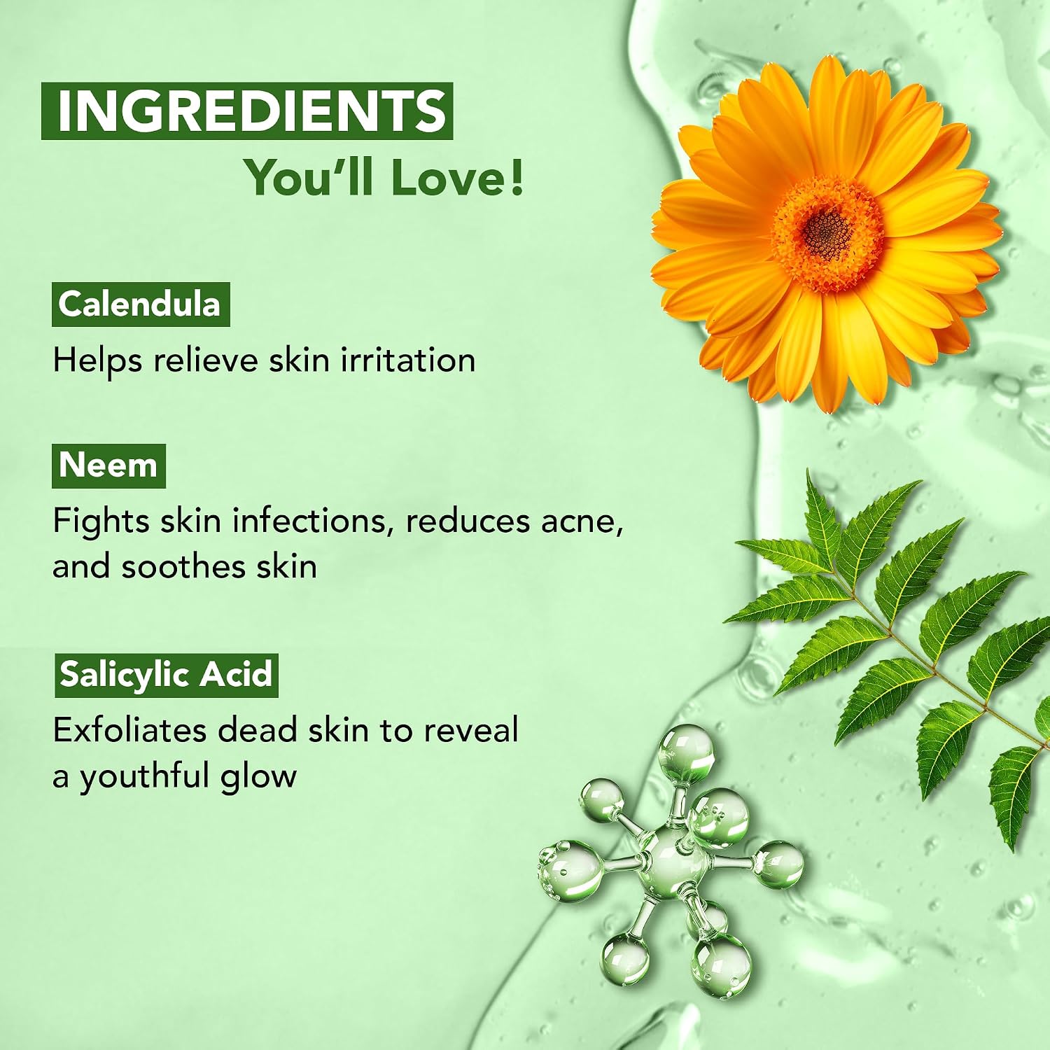 Botanic Hearth Tea Tree Body Wash With 100% Tea Tree Oil - 16 Fl oz