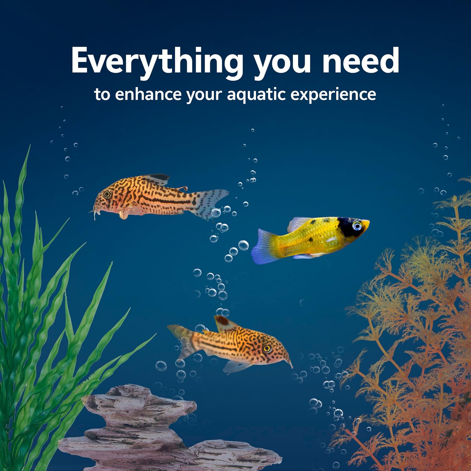 Aqueon Aquarium Fish Tank Starter Kit with LED Lighting 10 Gallon Fish Tank