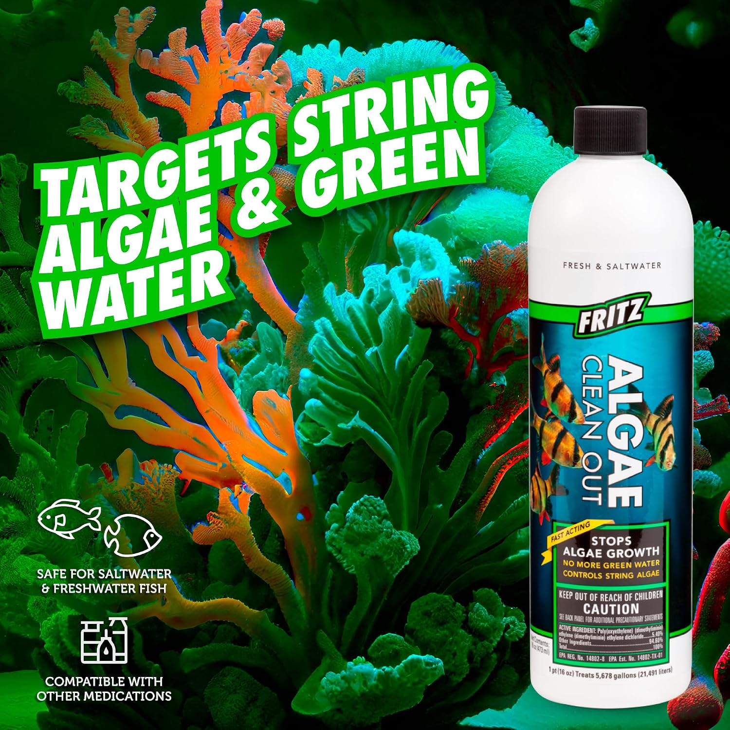 Fritz Aquatics Algae Clean Out - Algaecide for Fresh and Salt Water Aquariums, 16 oz
