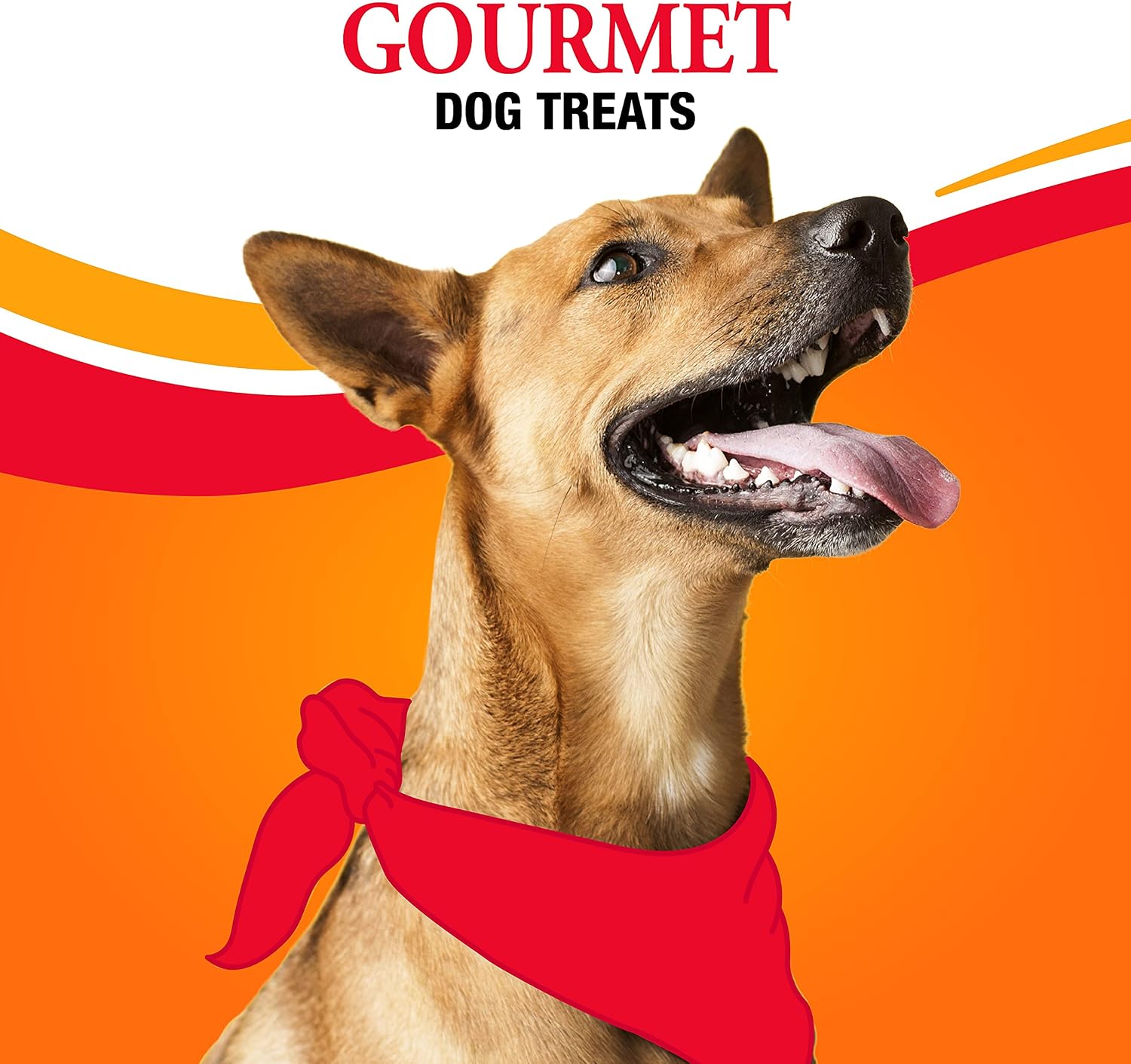 Good 'n' Fun Kabobs Long-Lasting Dog Treat Made With Real Protein, 18 Count | Premium Chicken, Pork and Beef Hide Chew, Supports Dental Health and Mental Stimulation, For Adult Dogs