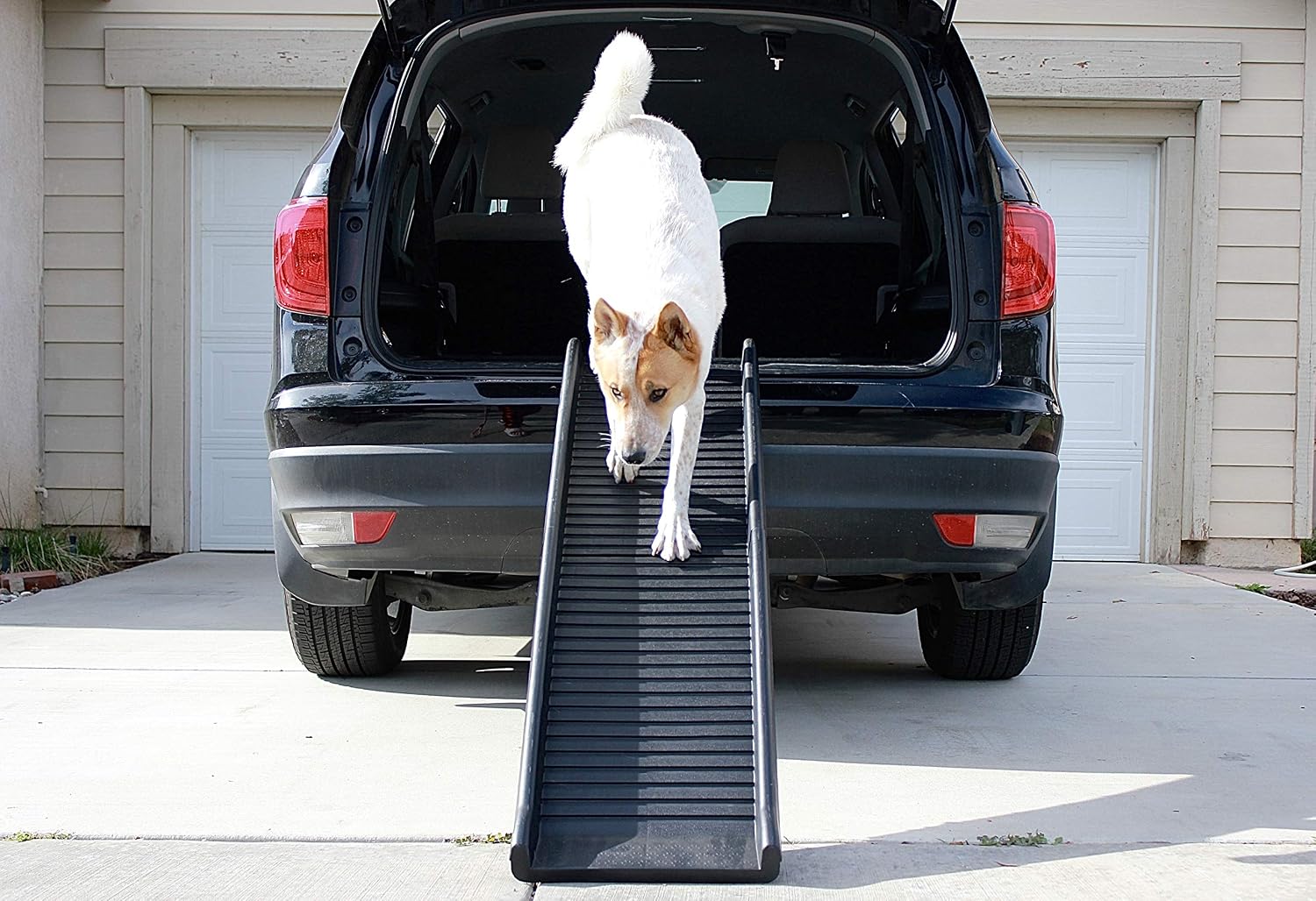 PawStep 61" Folding Pet Ramp, Portable Dog Ramp for Cars, SUVs, Beds & Couches, Lightweight PP Construction, Textured Surface
