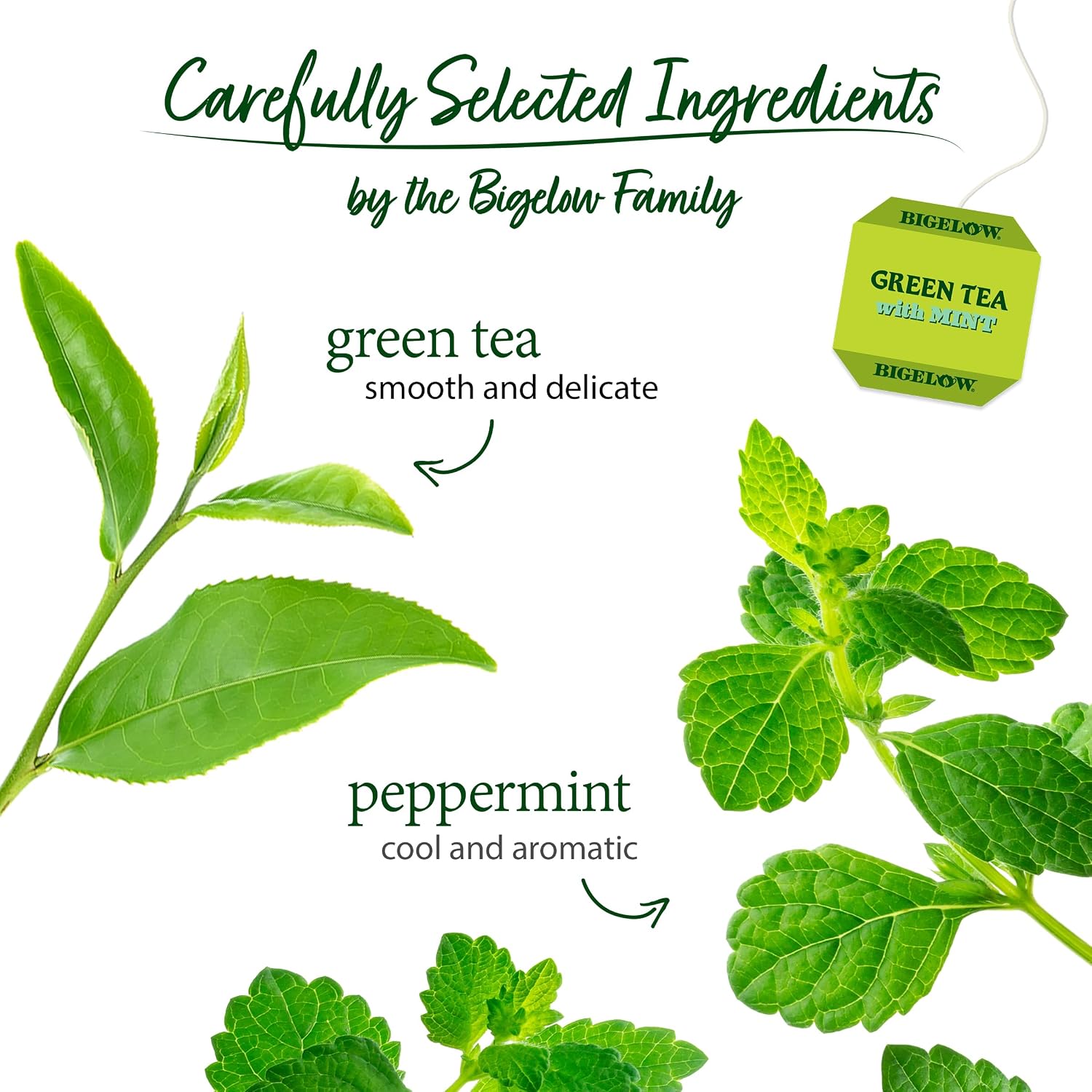 Bigelow Tea Classic Green Tea Bags, 40 Count (Pack of 6)