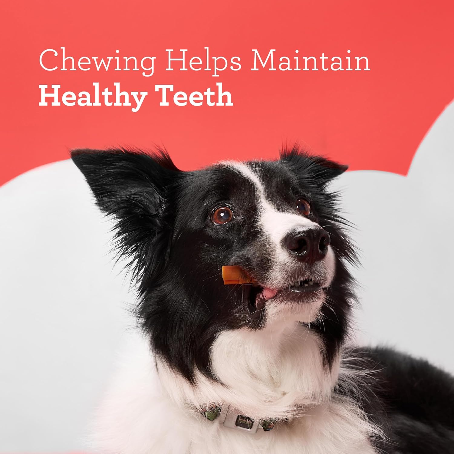 DreamBone RattleBall Chew Rawhide-Free Dog Treats, Real Protein, 14 Count | Daily Chew, Digests Safely and Completely