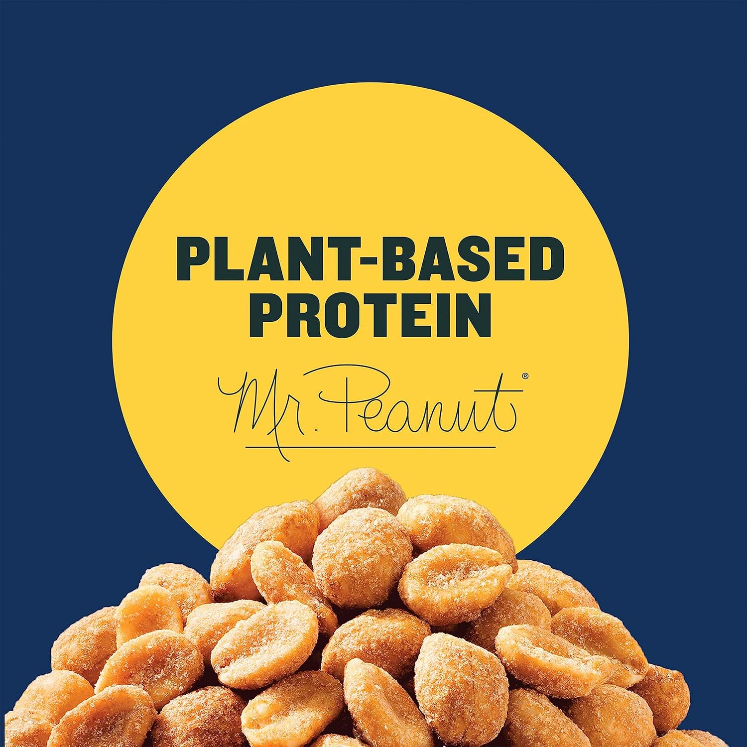 PLANTERS Salted Peanuts, Plant Based Protein Snacks, 12 Oz (1 Ct) | Roasted Salted Nuts. Resealable Canister. Snacks for Adults. Party Mix, Party Snacks