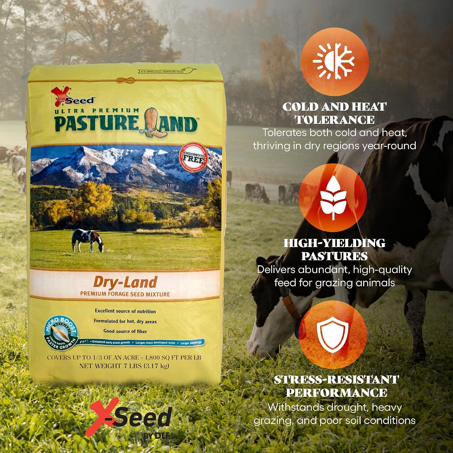X-Seed Pasture Land Dry-Land Forage Seed Mixture with Micro-Boost – Tall Fescue Orchard Grass Ryegrass Endophyte Free Pasture for Safe Nutrition of Livestock, Formulated for Dry Areas – 25-Pound Bag