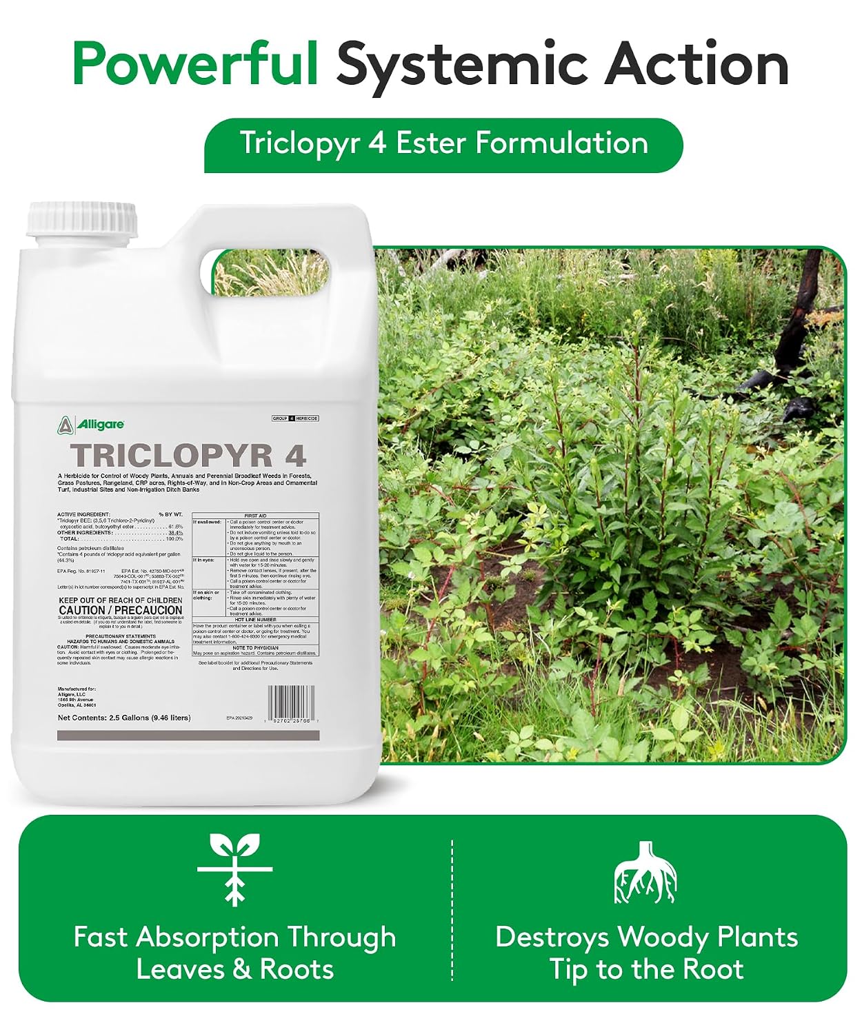 ALLIGARE - : Triclopyr 4 Herbicide Selective Weed Killer for Woody Plants, Brush for Forestry, Pastures, Rights-of-Way & Industrial Sites - Compare to Garlon 4 & Remedy - 1 Gallon