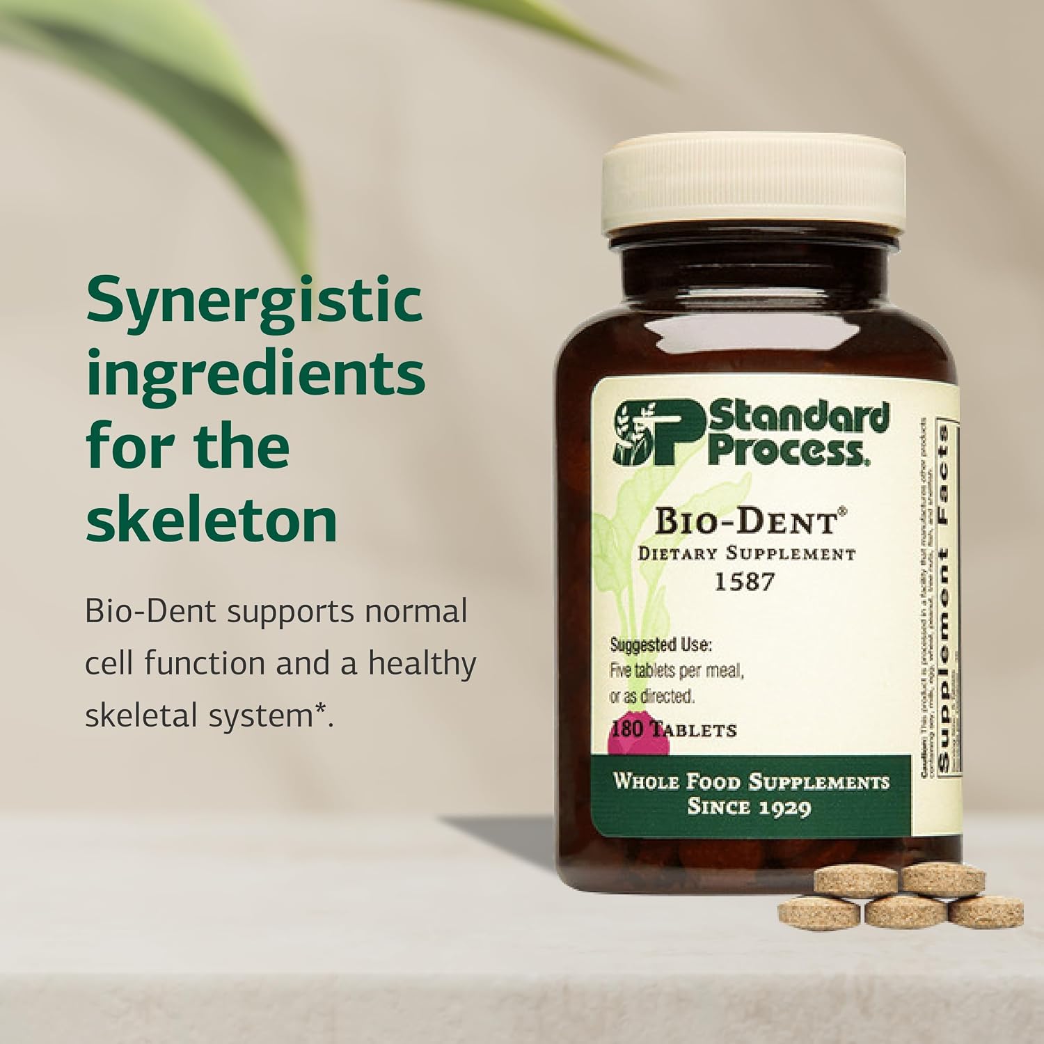Standard Process Bio-Dent - Supports Bone & Muscle Health - Aids the Production of Cartilage & Collagen - Supports Energy Metabolism - Whole