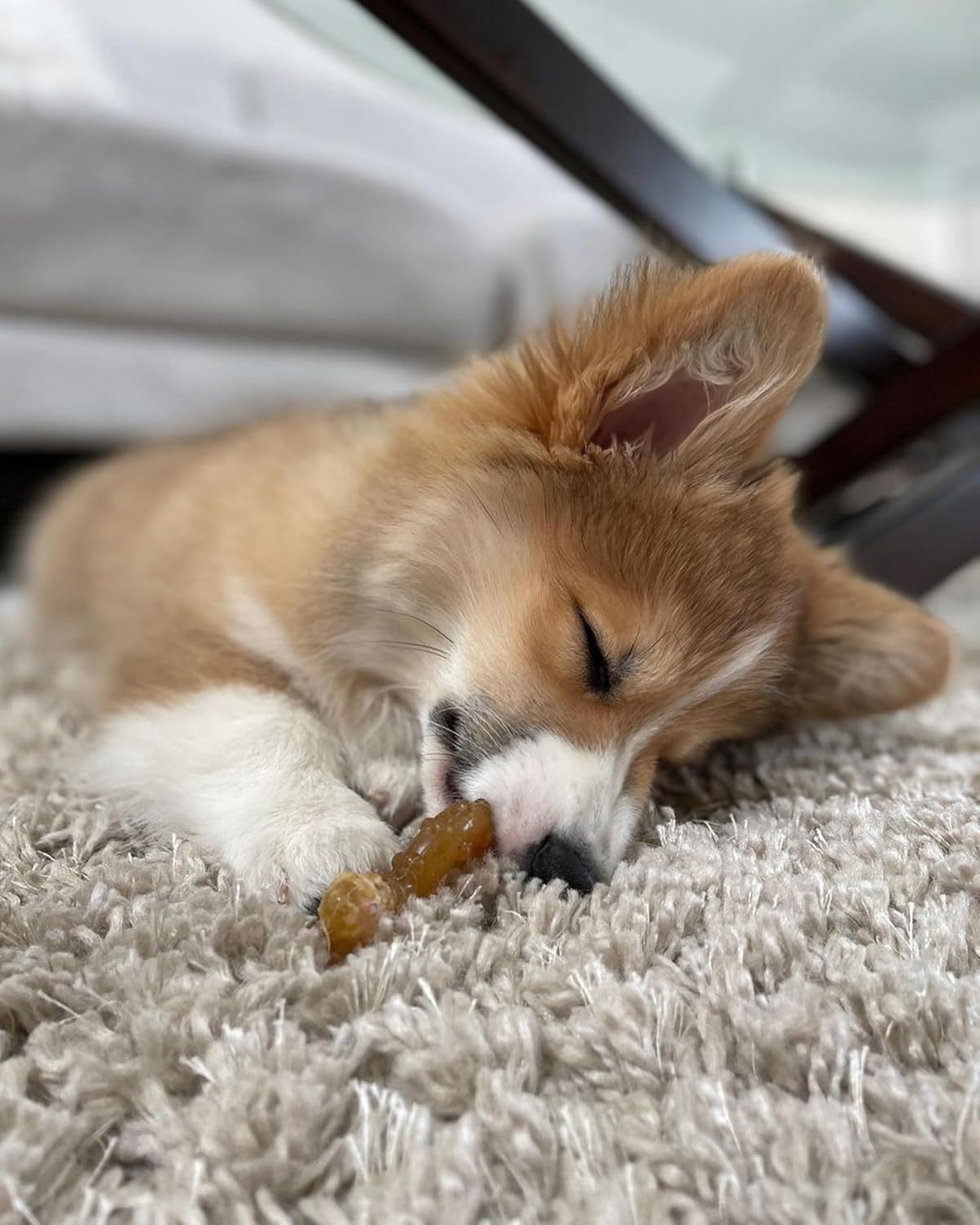 Nylabone Puppy Chew Teething Ring Bone Dog Toy, Chicken Flavor, X-Small | Soothing teething toys for puppies, puppy enrichment, & teething relief, freezable for added comfort, dogs up to 15 lbs