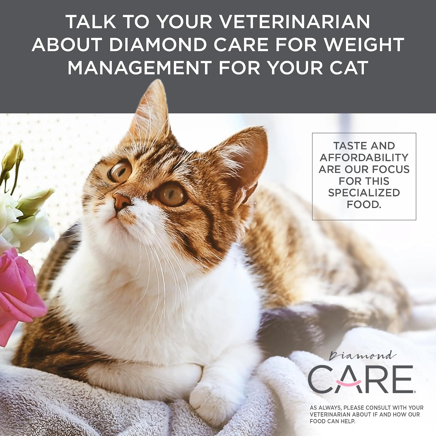 DIAMOND CARE Weight Management Adult Dry Cat Food, Chicken, 15lb | For Cats with Weight Control Issues | L-Carnitine Aids in Fat Metabolism | Taurine for Heart & Eye Health