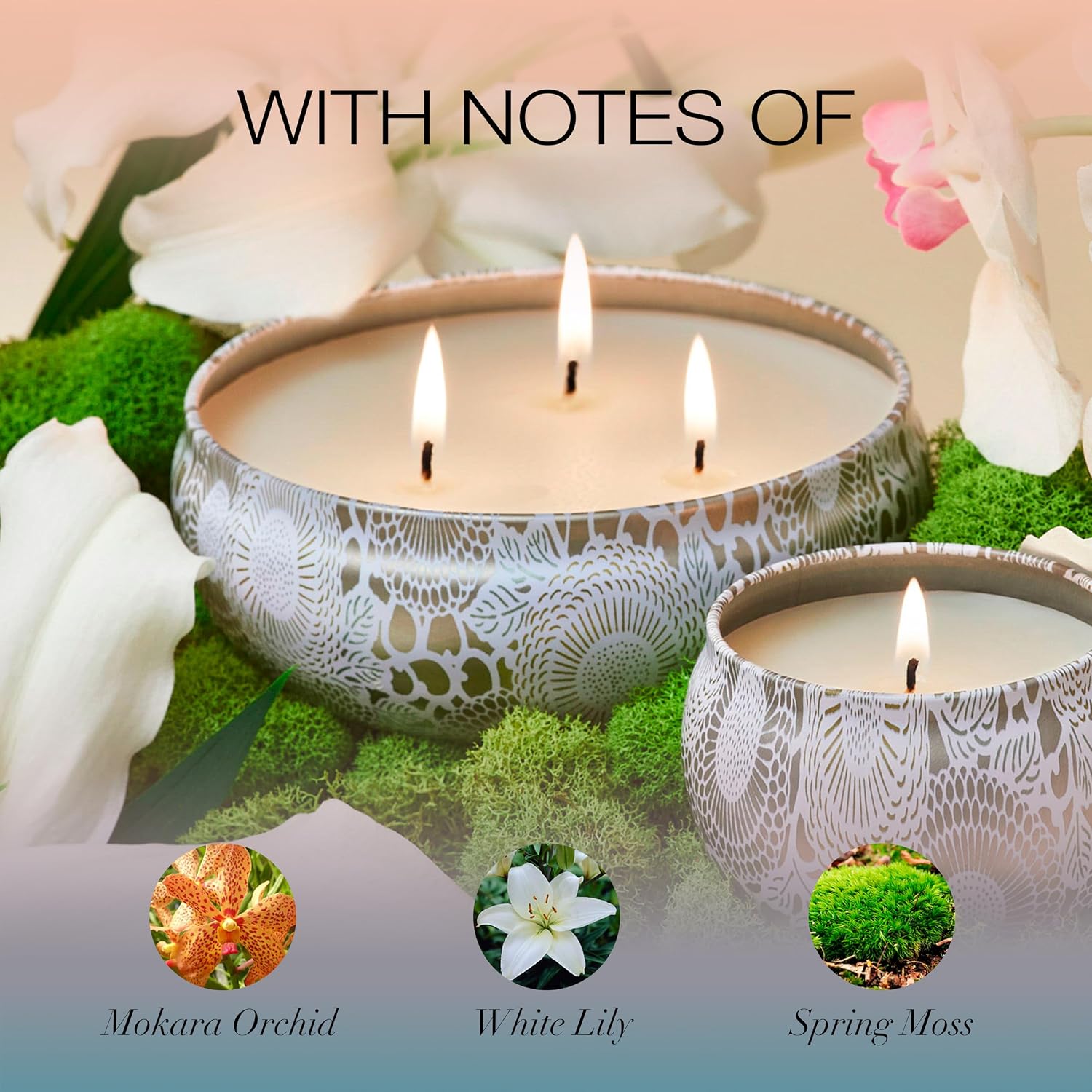 Voluspa Santal Vanille, 3 Wick Tin Candle, 12 oz, 40 Hour Burn Time, Coconut Wax for Clean Burning, Handcrafted in the USA