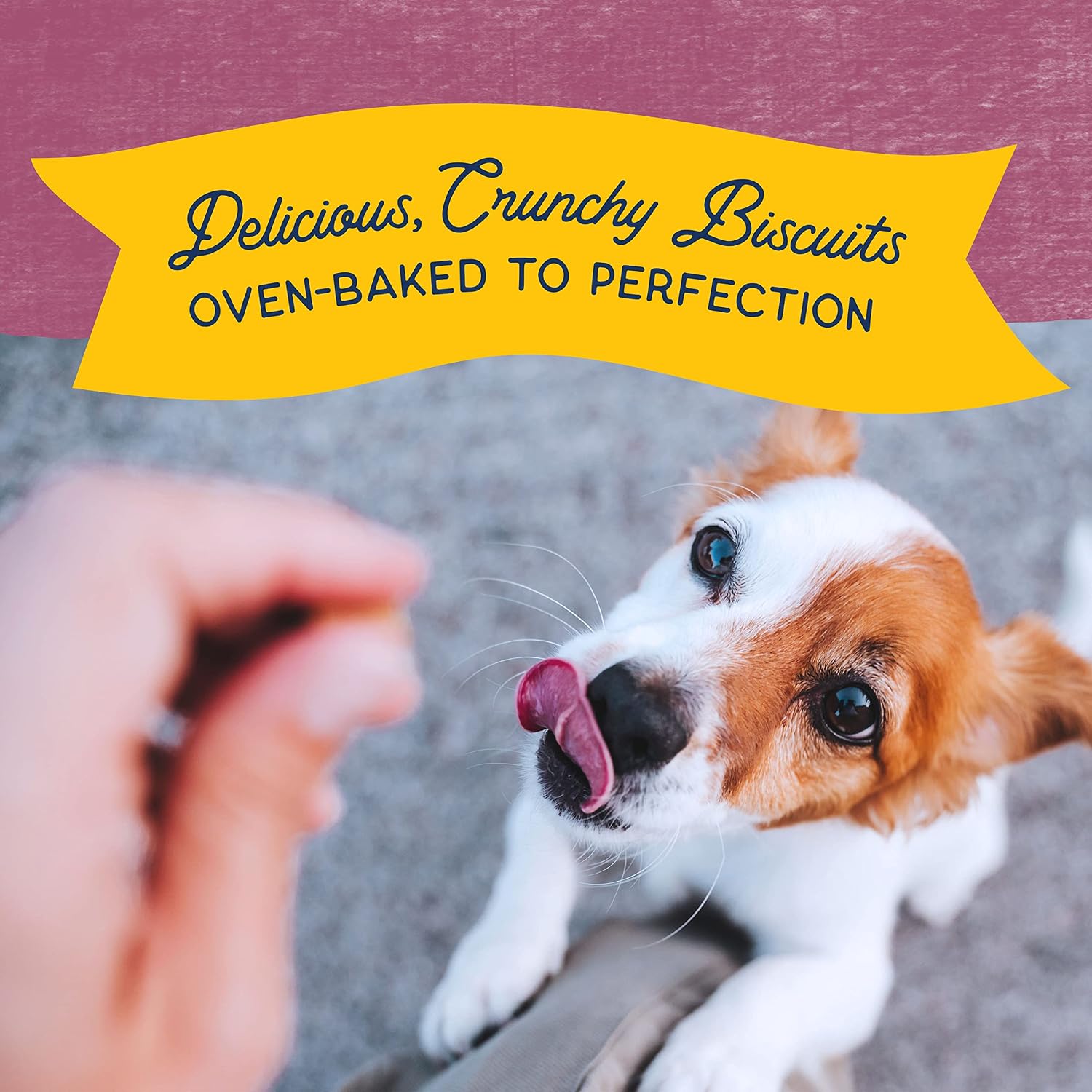 Natural Balance Limited Ingredient Rewards Crunchy Biscuits, Bite-Size Grain-Free Dog Treats for Small-Breed Dogs, Made with Real Venison, 8 Ounce (Pack of 1)