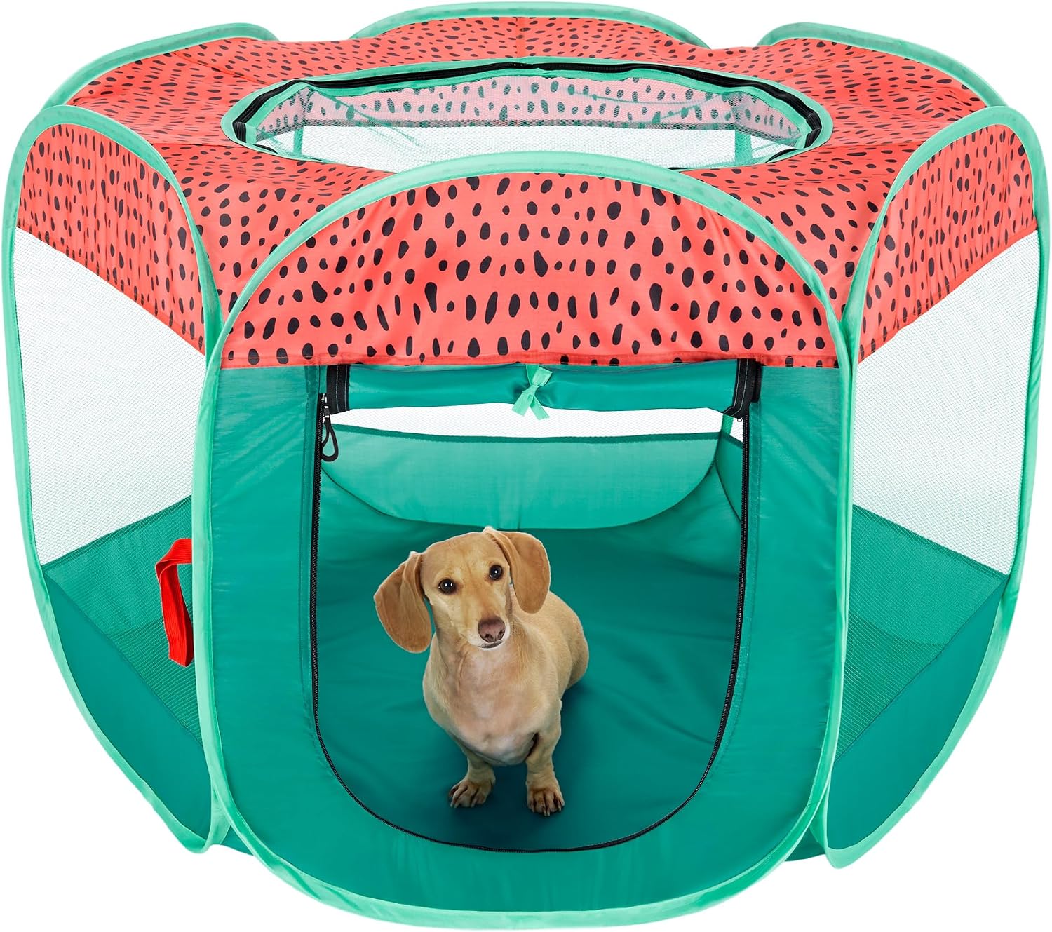 Furhaven Portable Dog Playpen Cat Tent, Pet playground,Kennel foldable indoor outdoor zippered puppy crate - Hunter Green, Medium