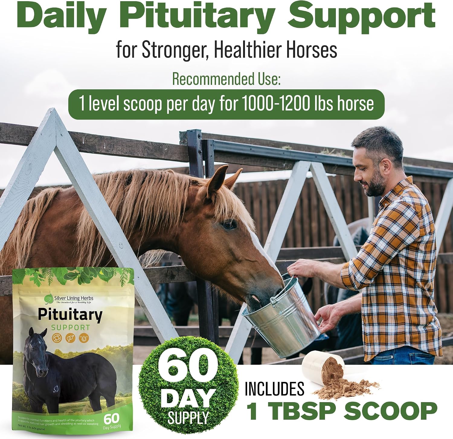Horse Pituitary Gland Supplements - 1 lb | Pituitary Gland Supplements for Horses, Barberry, Burdock & Kelp, Shedding, Coat & Metabolism Support, 1 lb