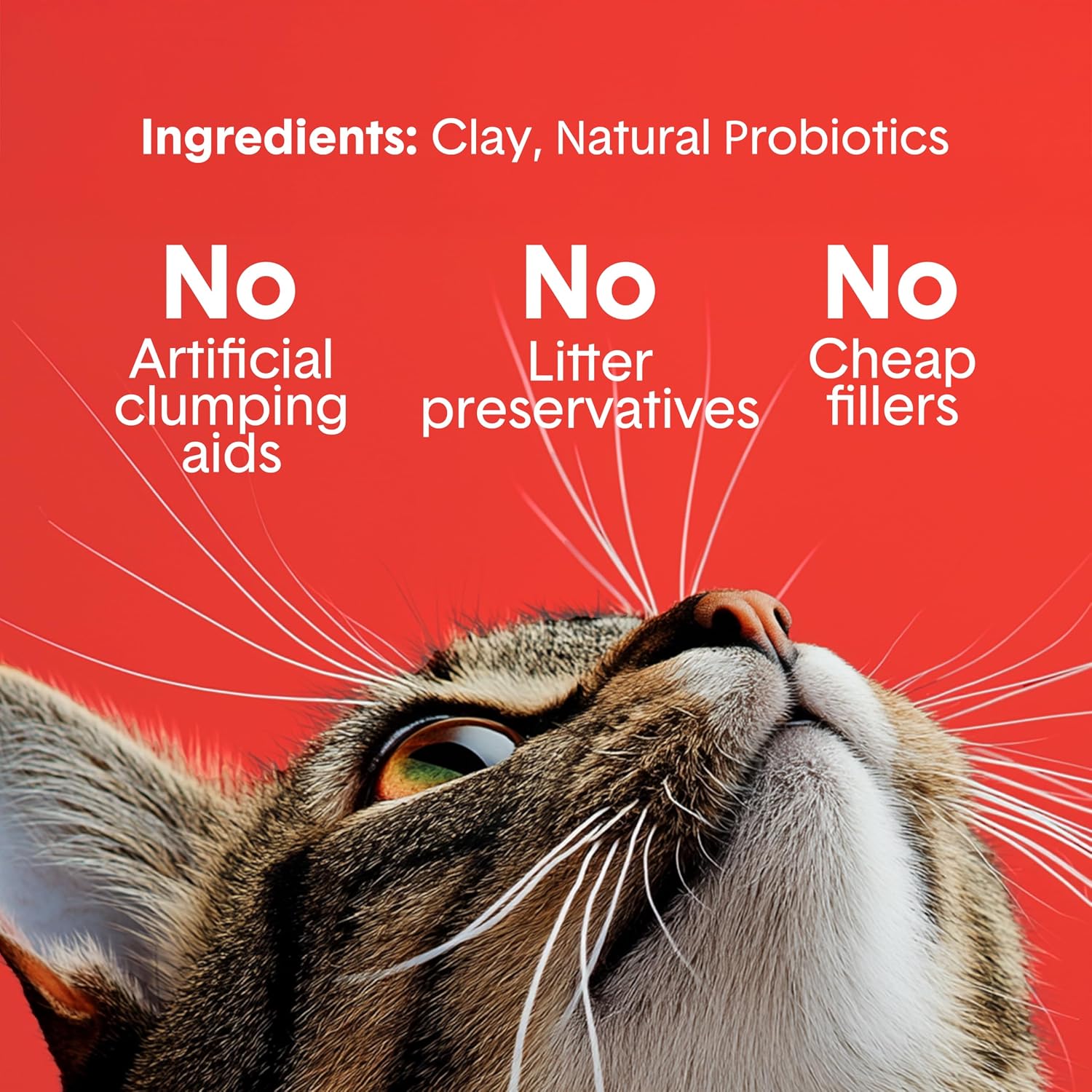 Boxie Premium Unscented Clumping Cat Litter 30+ Day Odor Control 16 lb